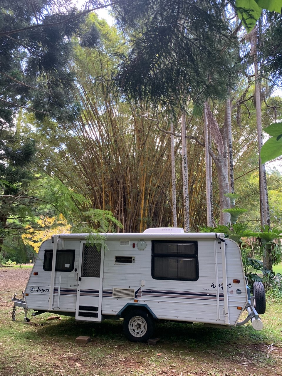 Tallebudgera Veg Sanctuary.