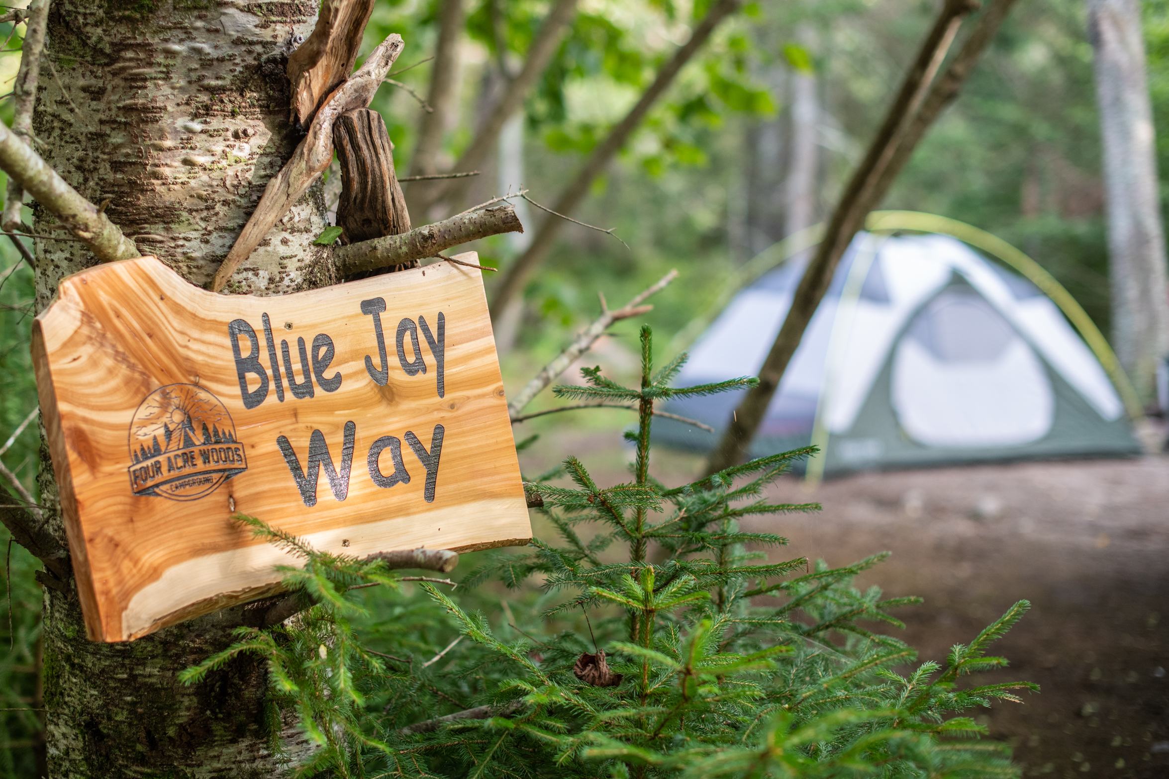 Our site for the night. Each site had a nice wooden sign with a unique driftwood sculpture.