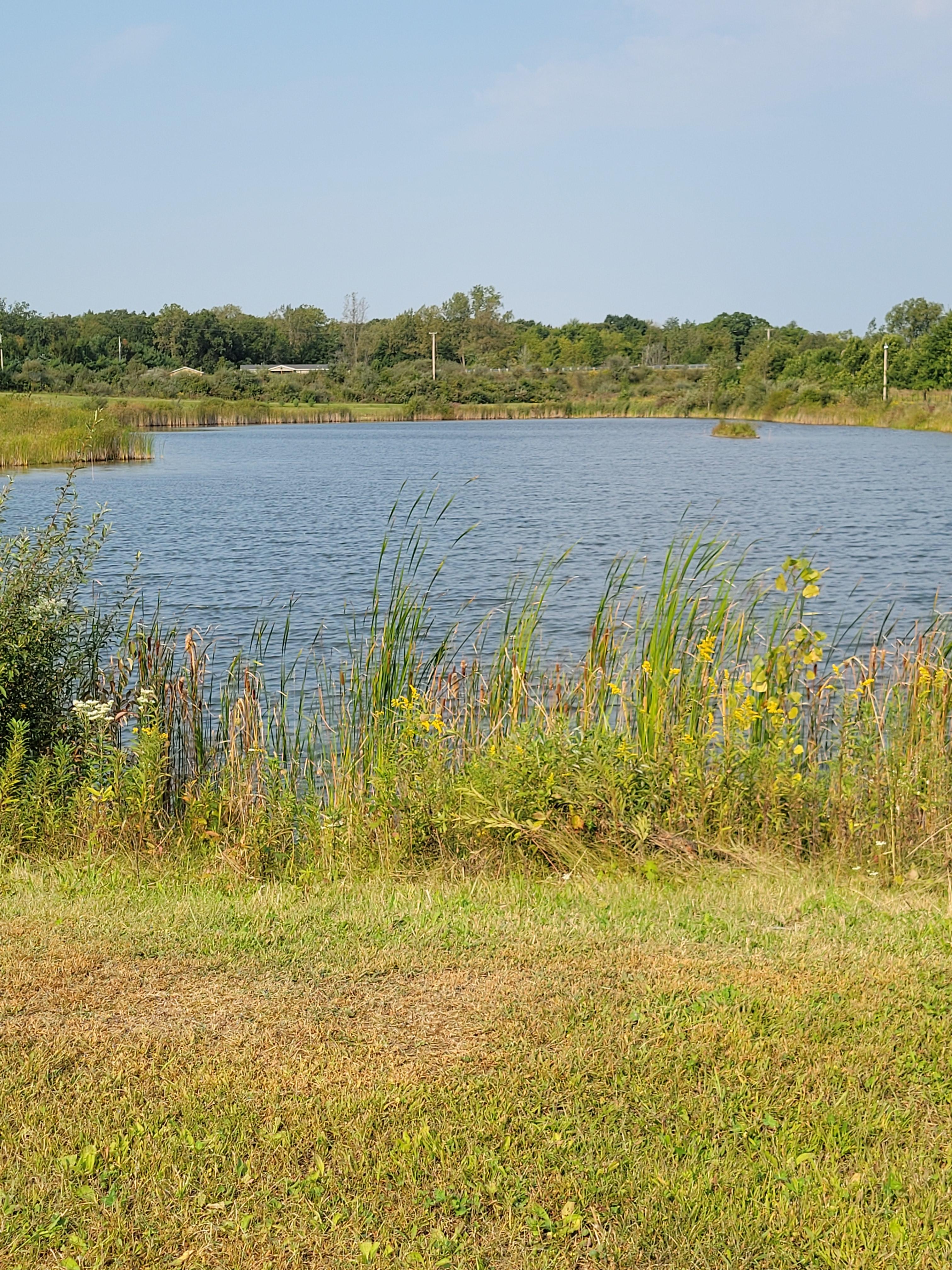 Beautiful pond.