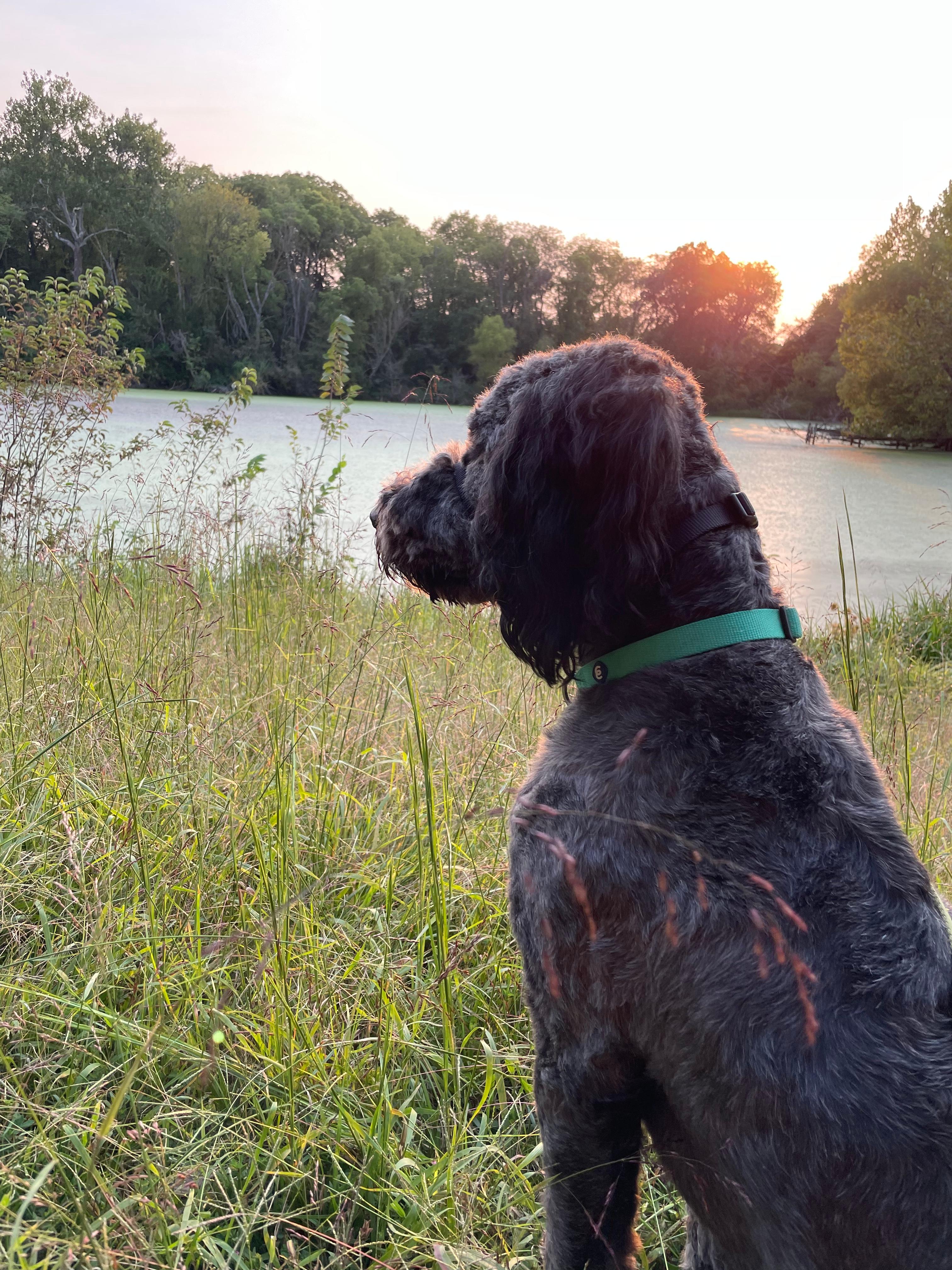 Perdue Homestead Farm-CLOSED