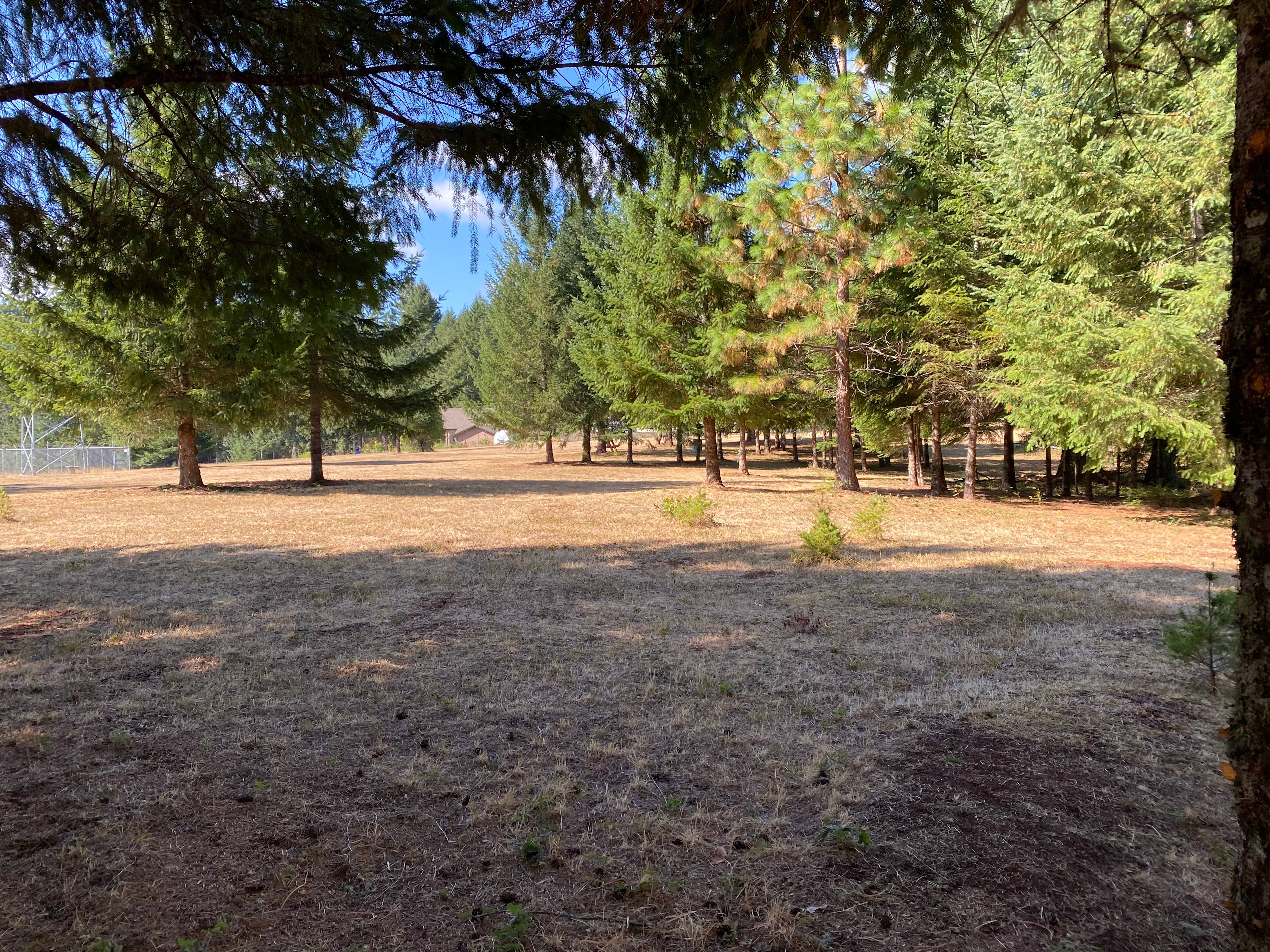Whispering Winds Mountain Retreat