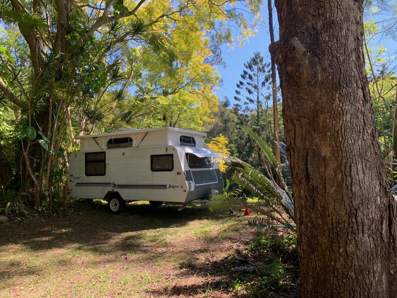 Tallebudgera Veg Sanctuary.