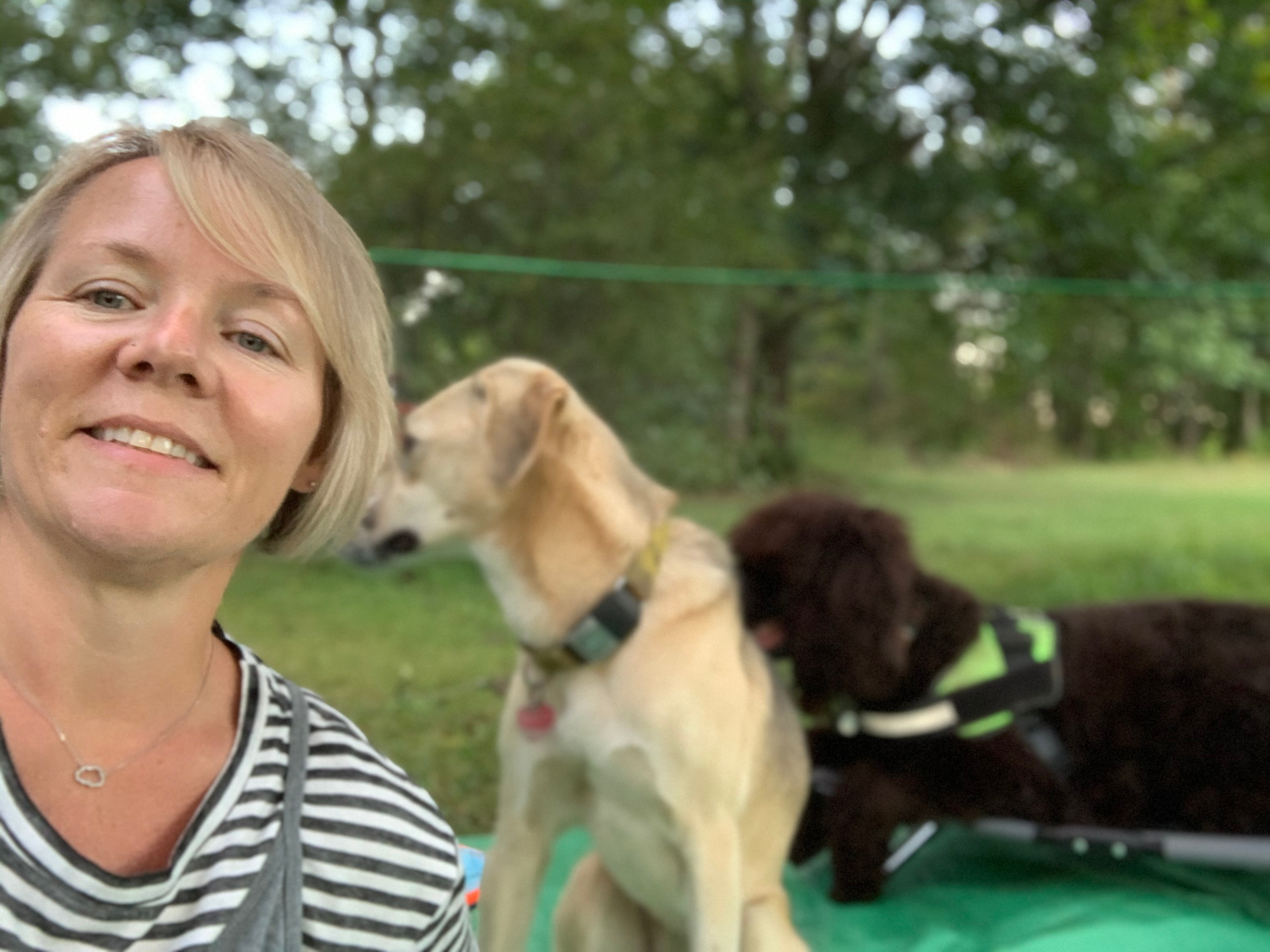 Surya (blonde), Donovan (liver color) and ME