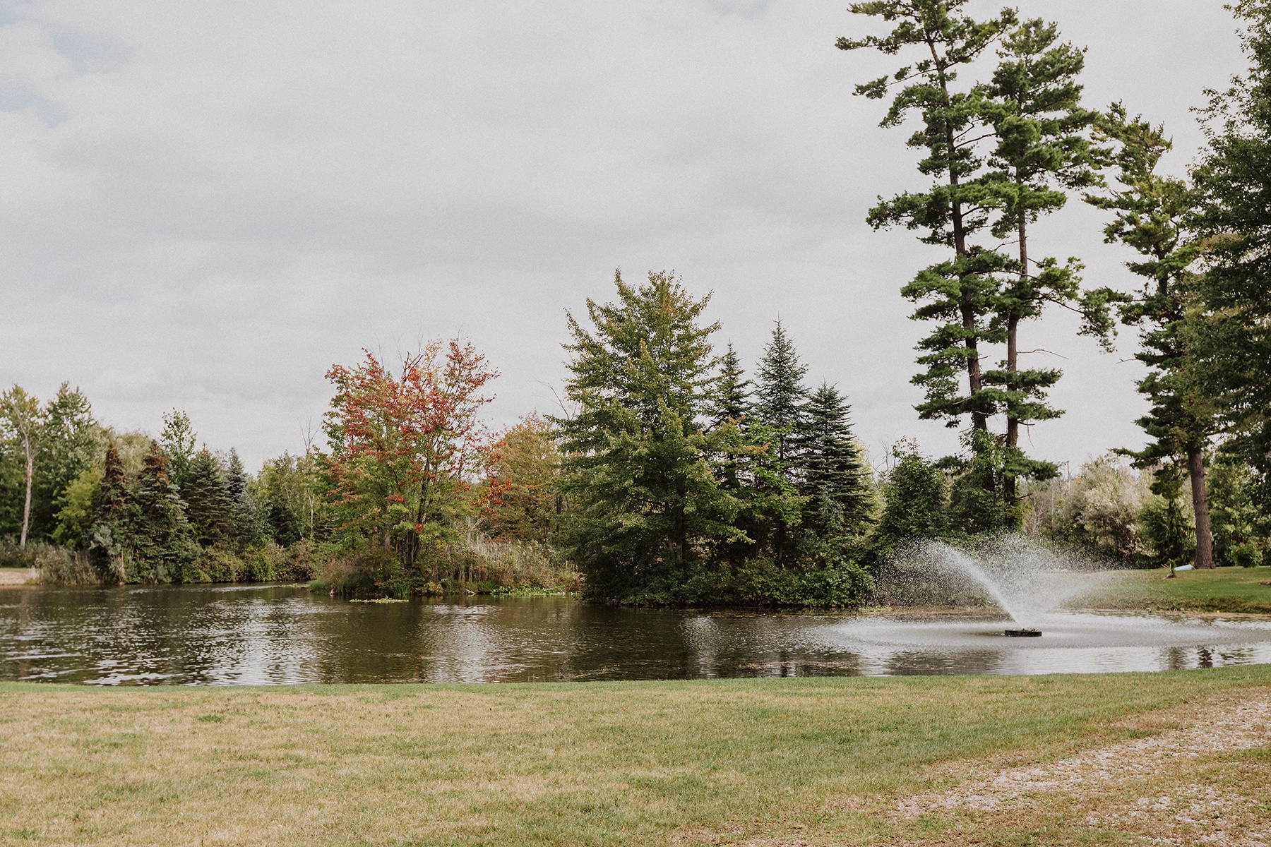 When Dave purchased this 100 acre property almost 40 years ago it was overgrown and unmaintained. Over the years he added many features to it, including this large pond.