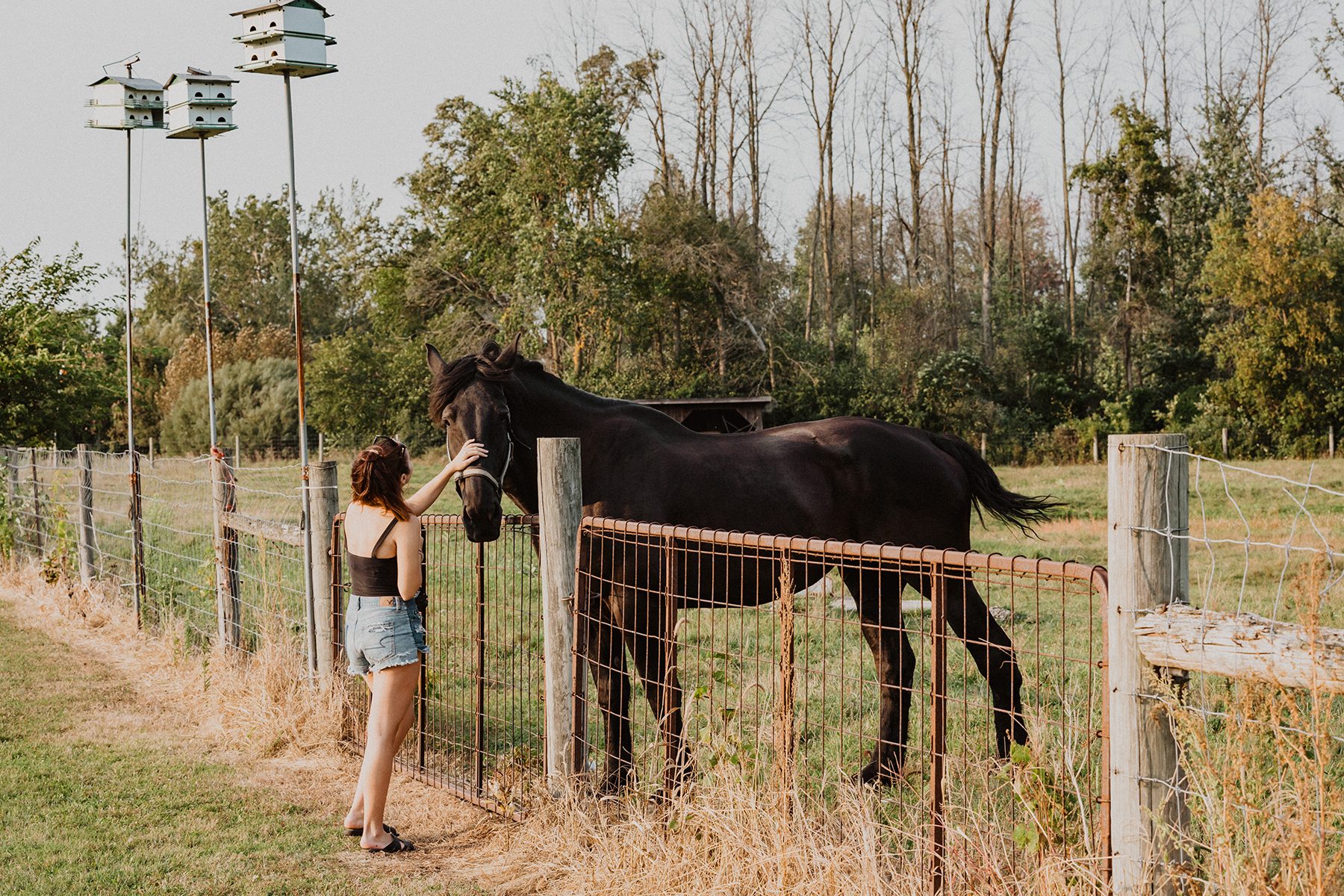 Kubasseks  Water Front Retreat