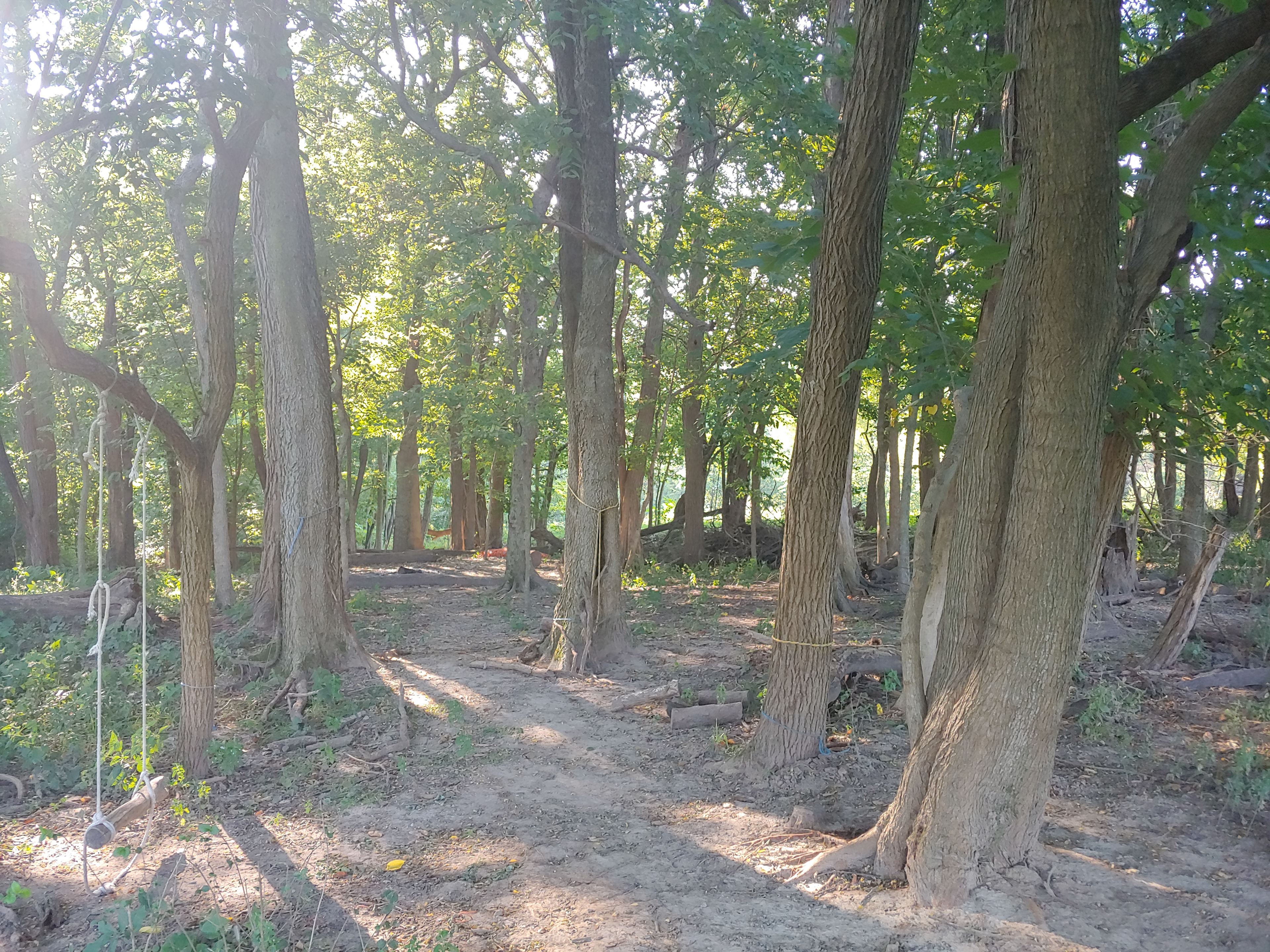 Lots of open space under the cool canopy
