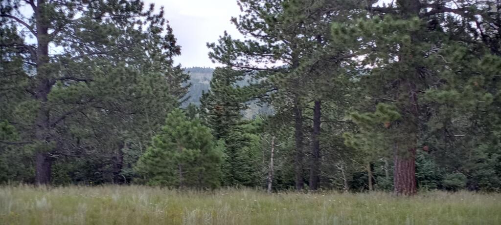 Alta Vista Disc Golf Ranch