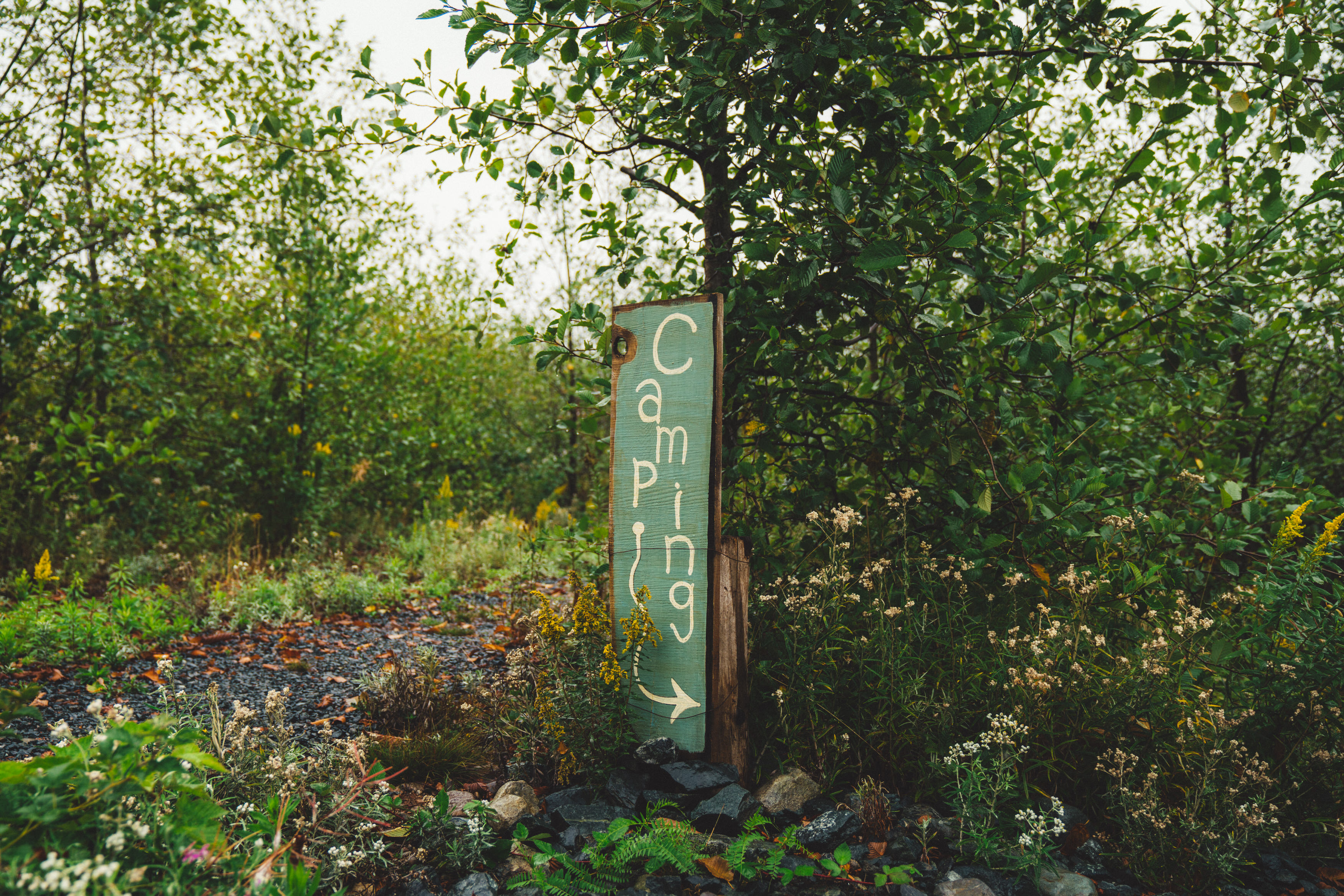 Signs pointing one in the right direction.