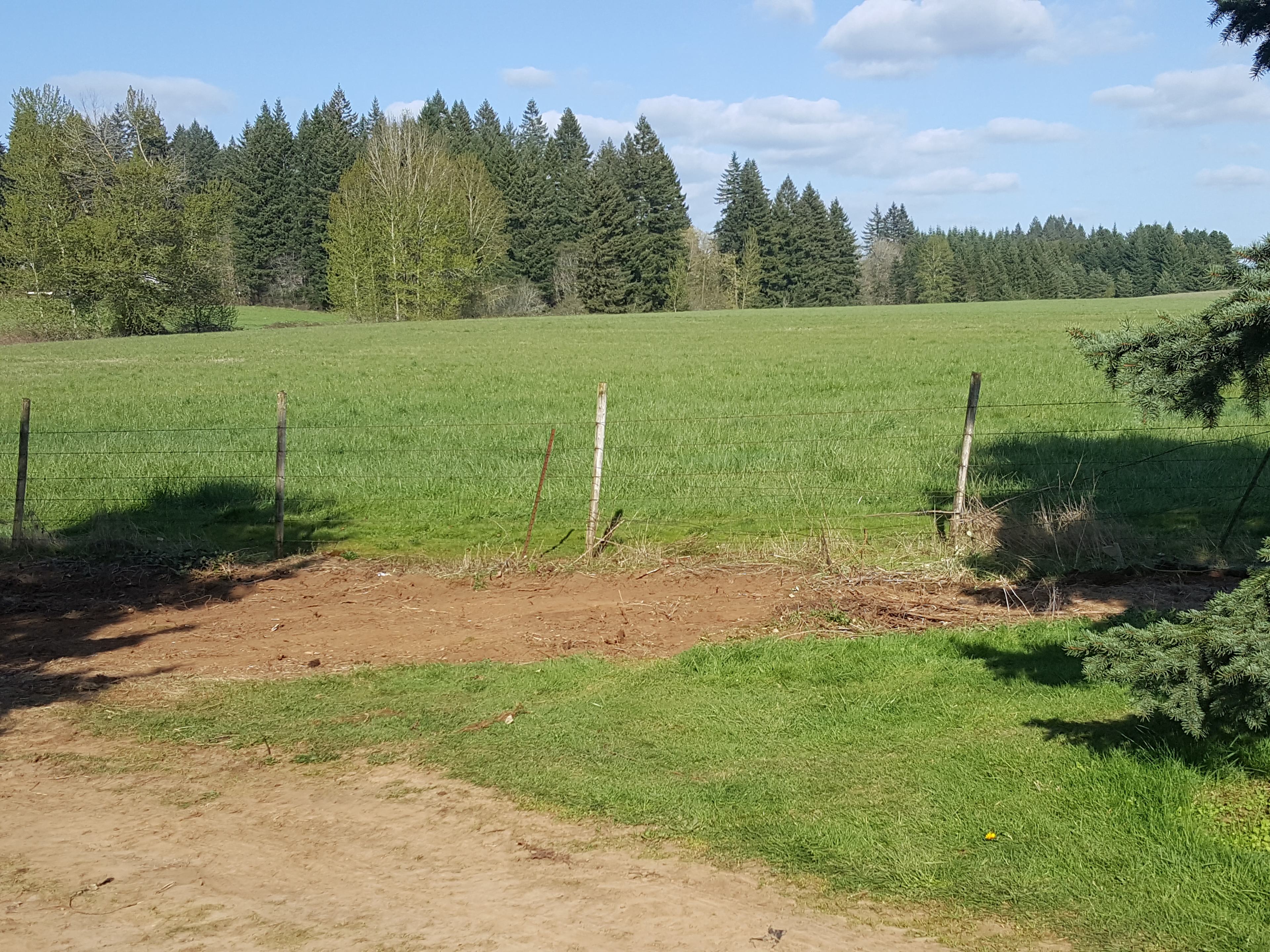 almost ready for another site