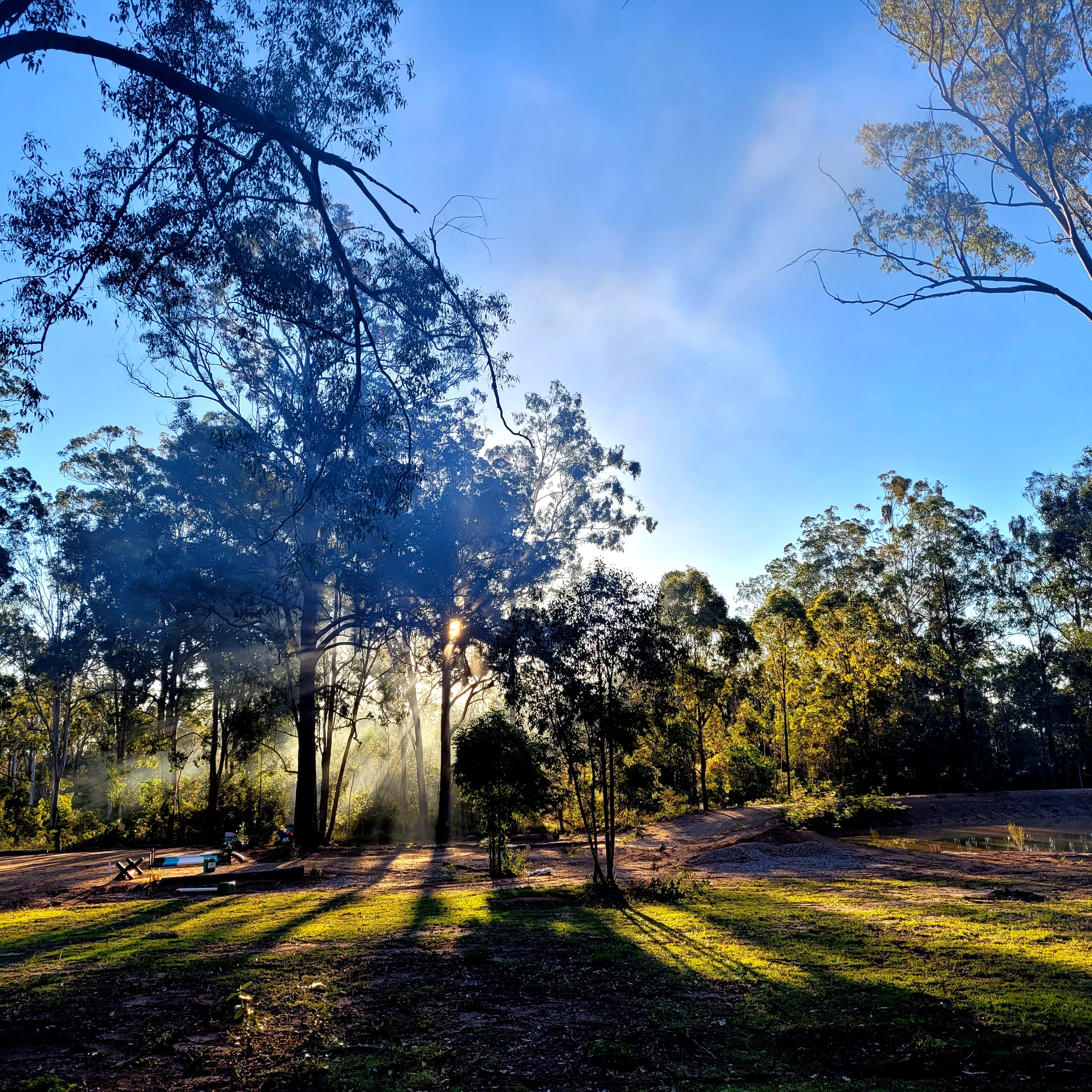 The Croft _ Horse Trax Oz Blackbutt