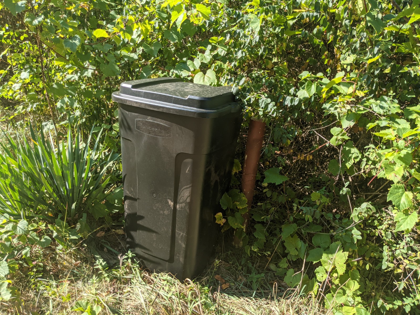 No need to take you trash with you. We'll take care of it!