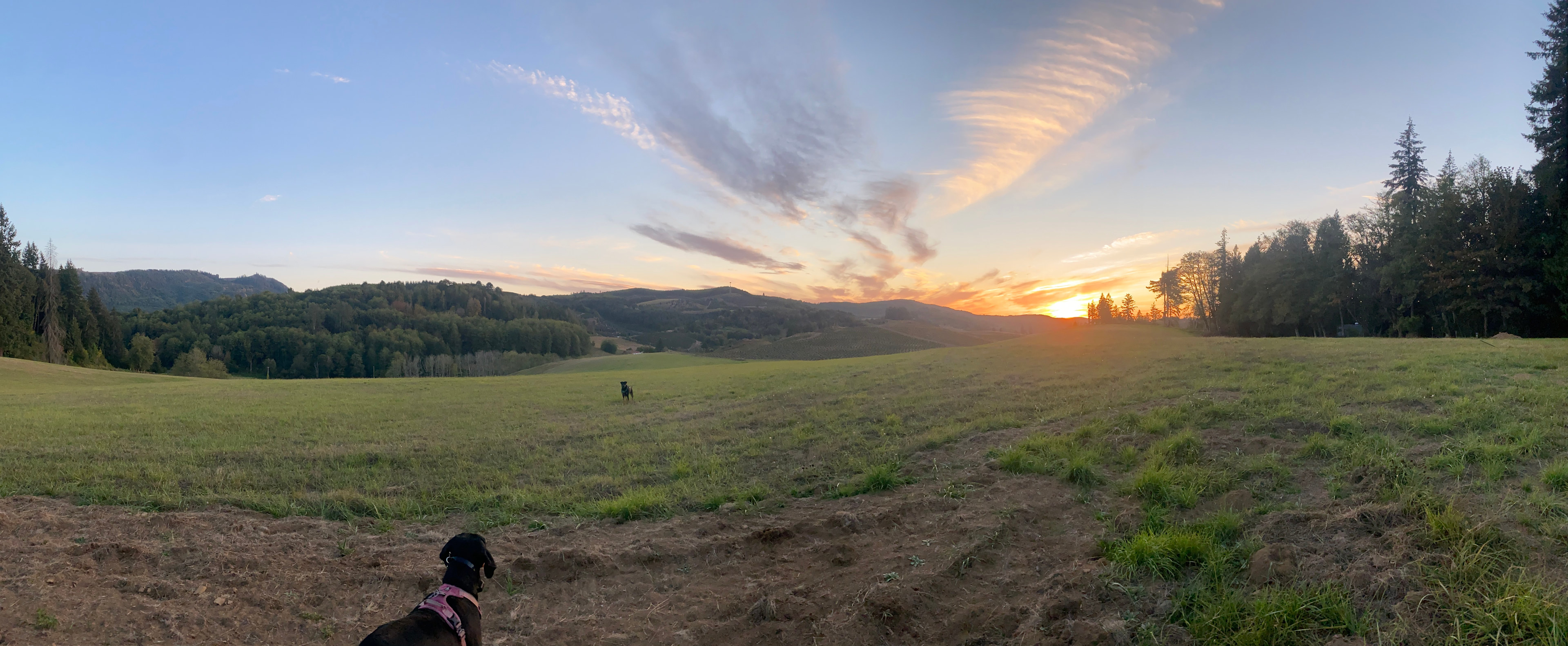 21 Acres above Riffe Lake Park