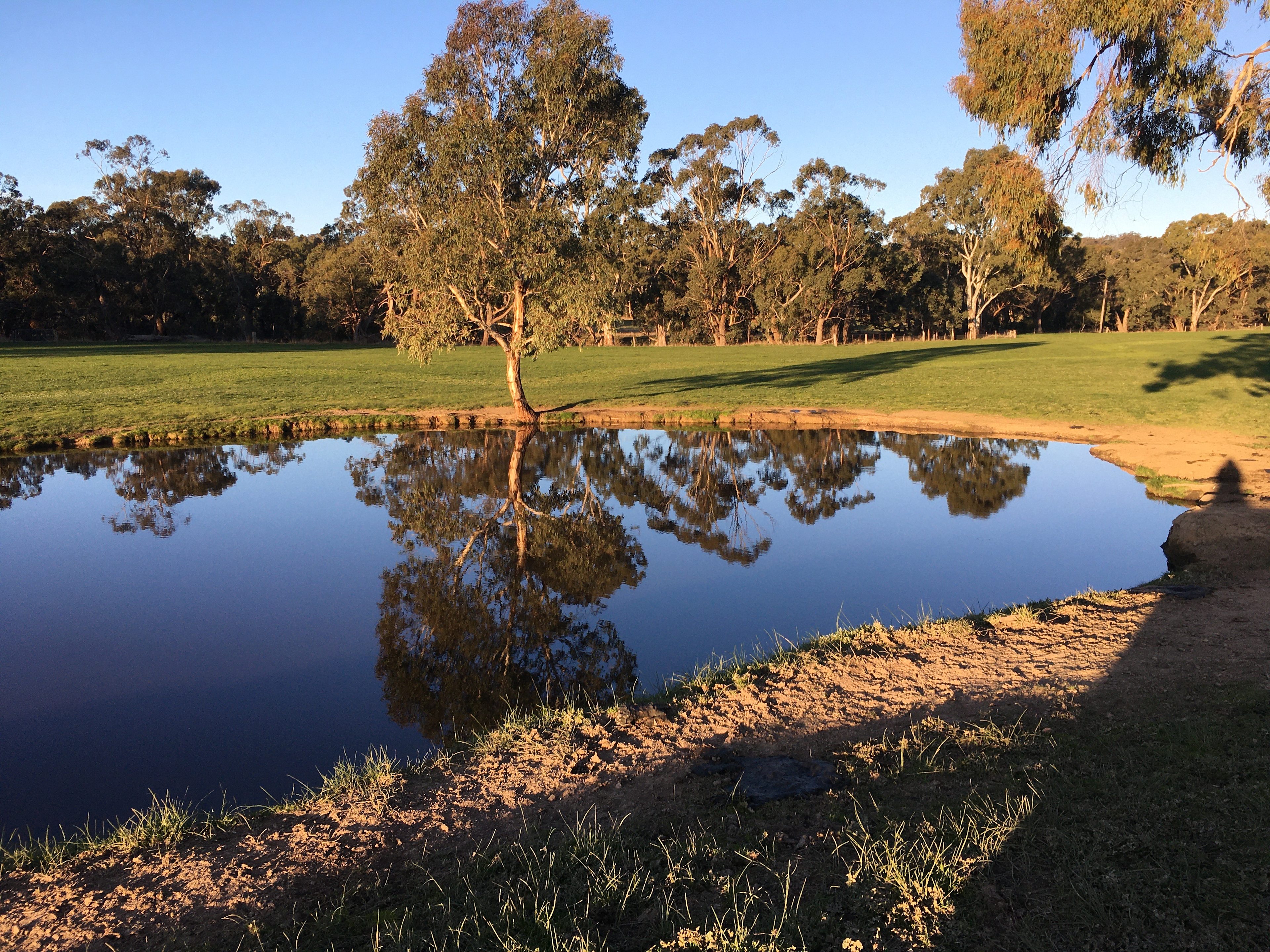 Abaminga Creekfront Flats