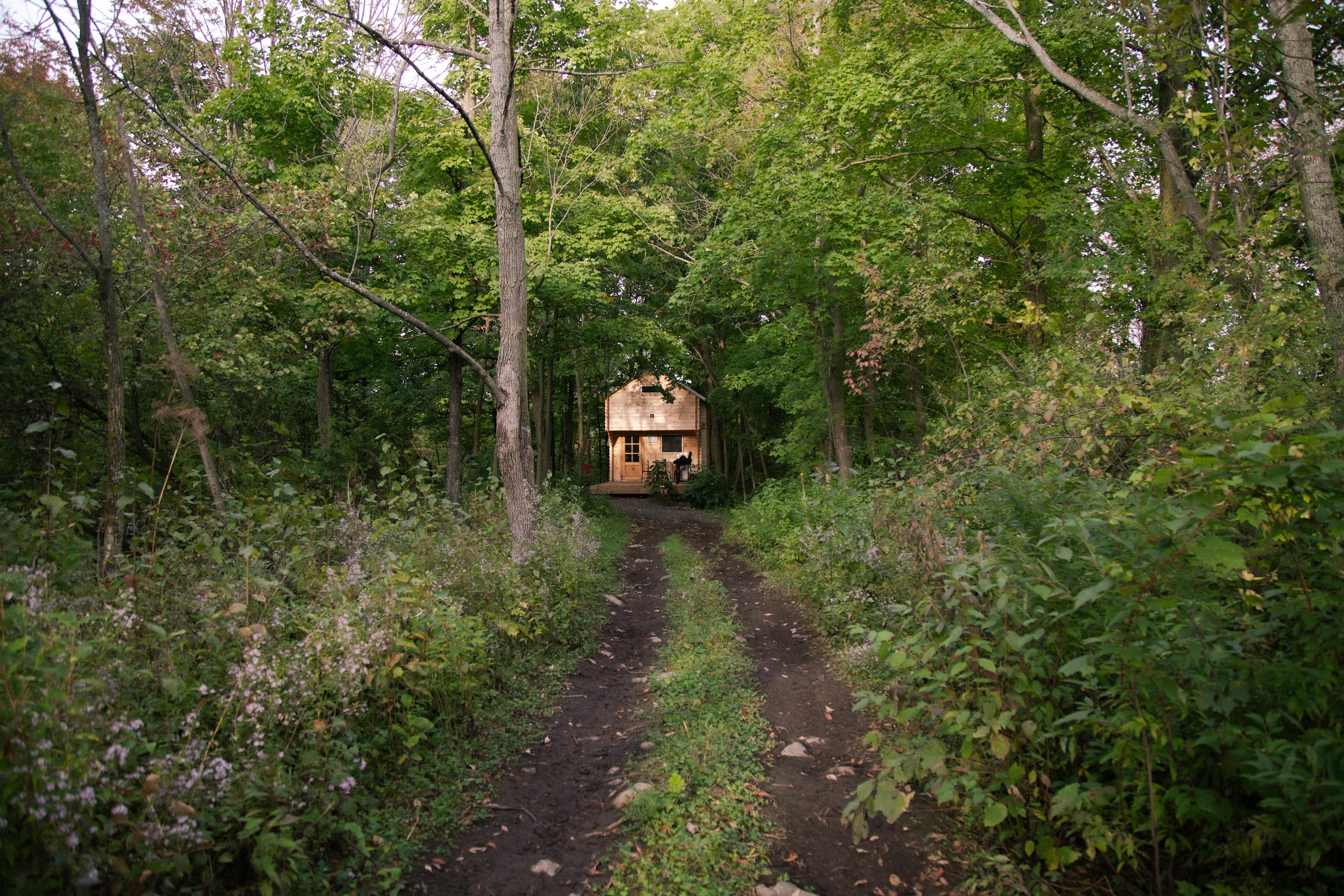 A little natural spotlight on our home while we stayed. It was really really special.