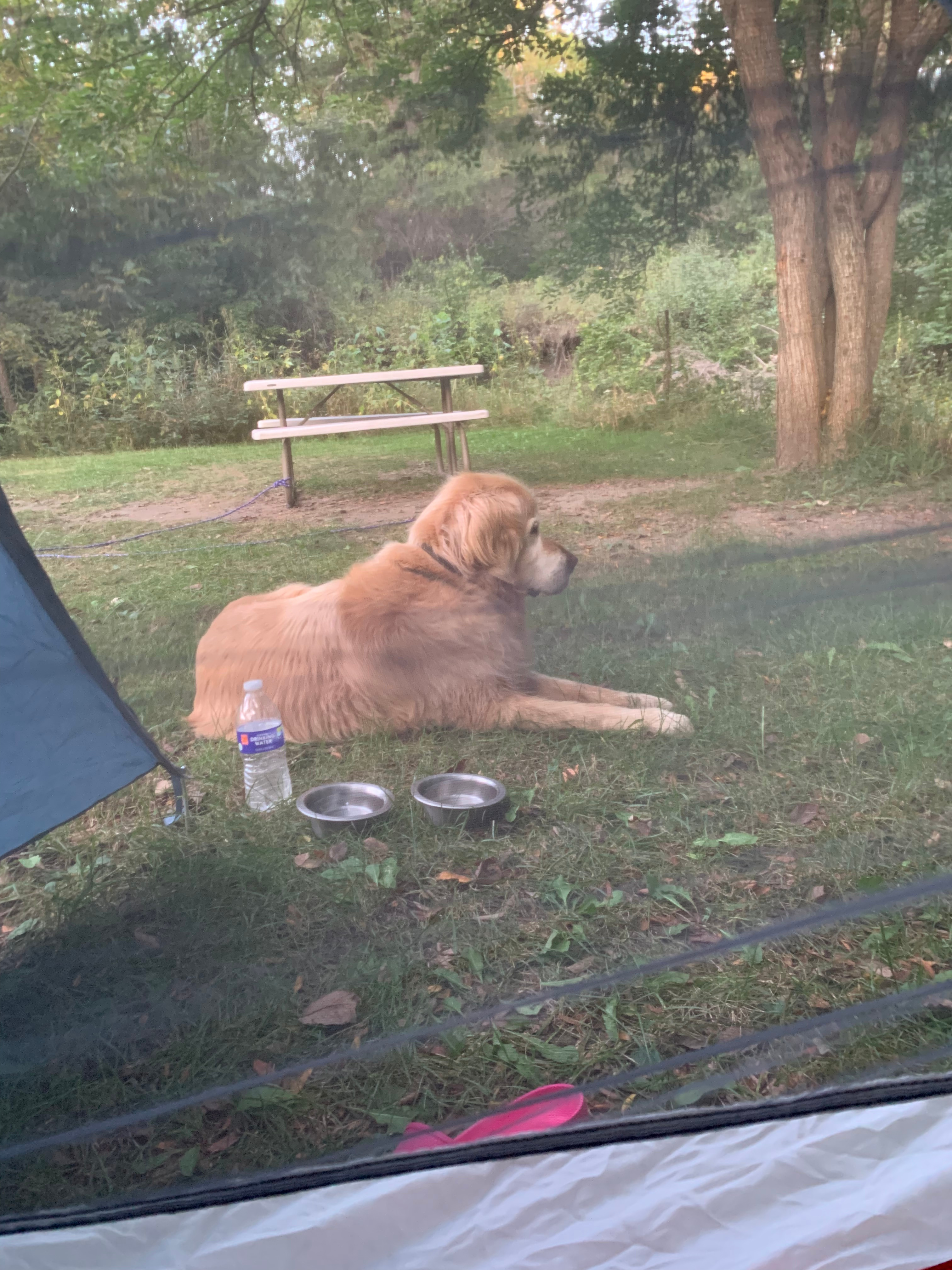 Shadybrook Camping and RV Adventure