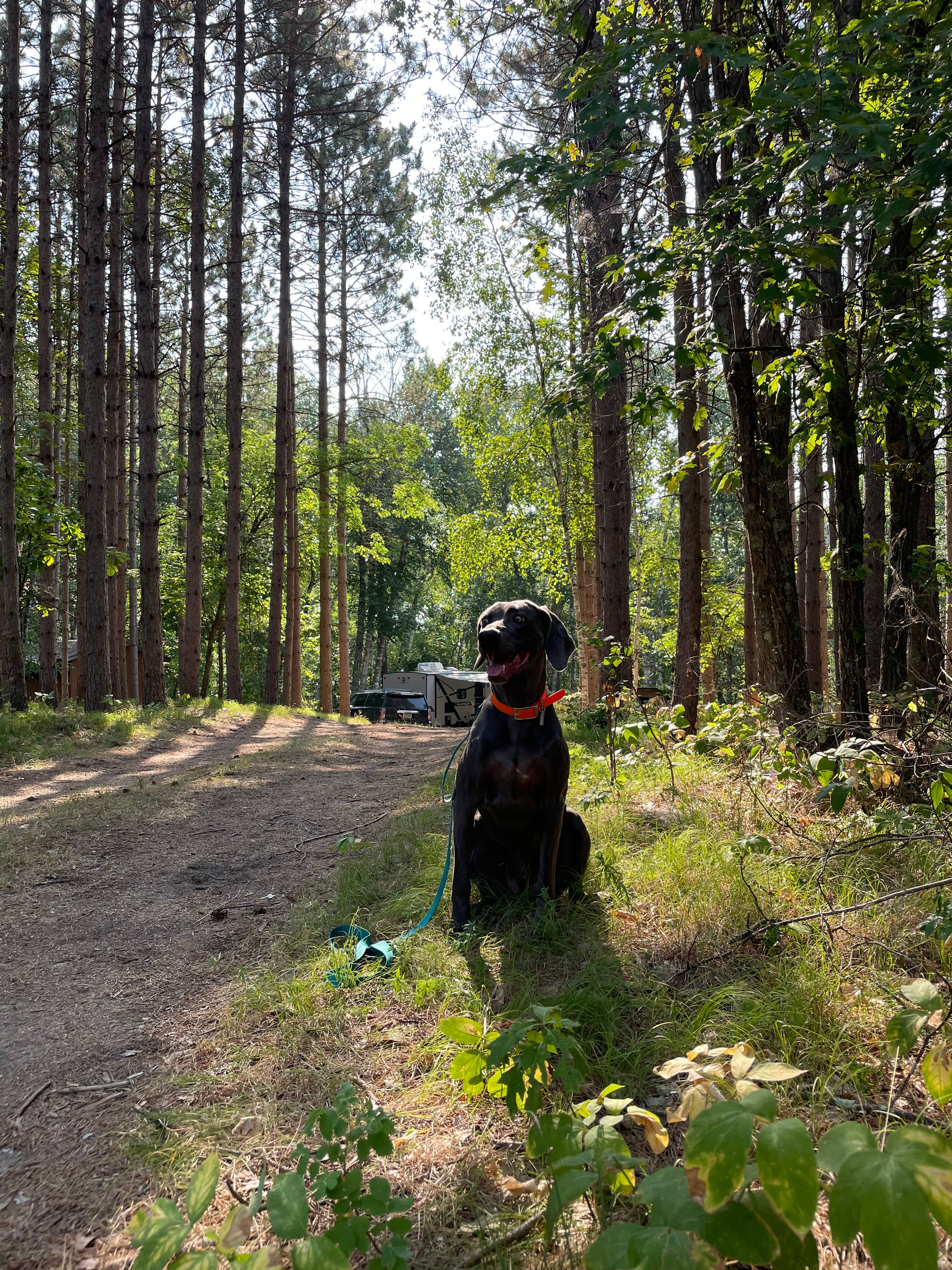 Mikko Kamp on the 4th Crow