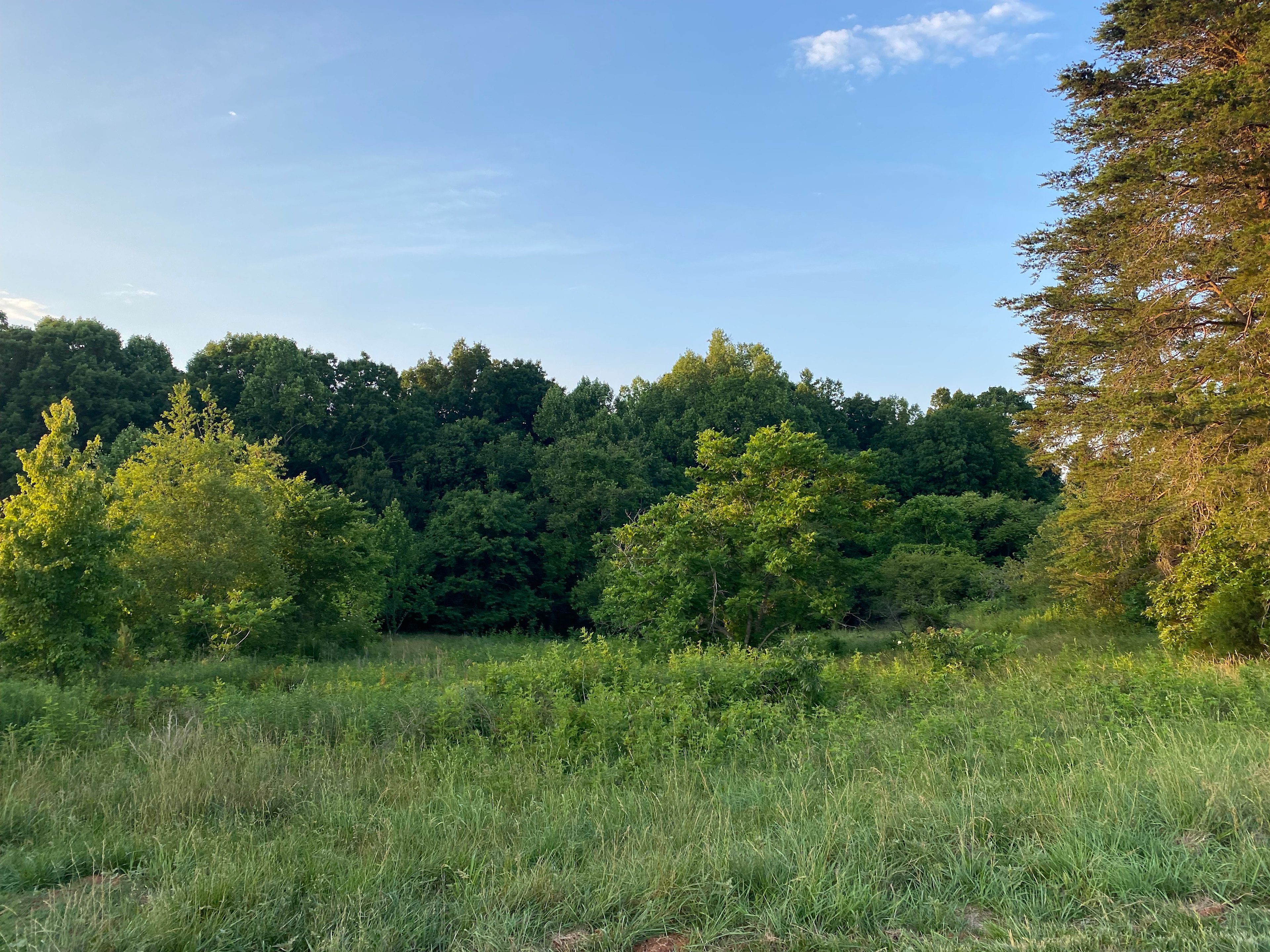The Homestead