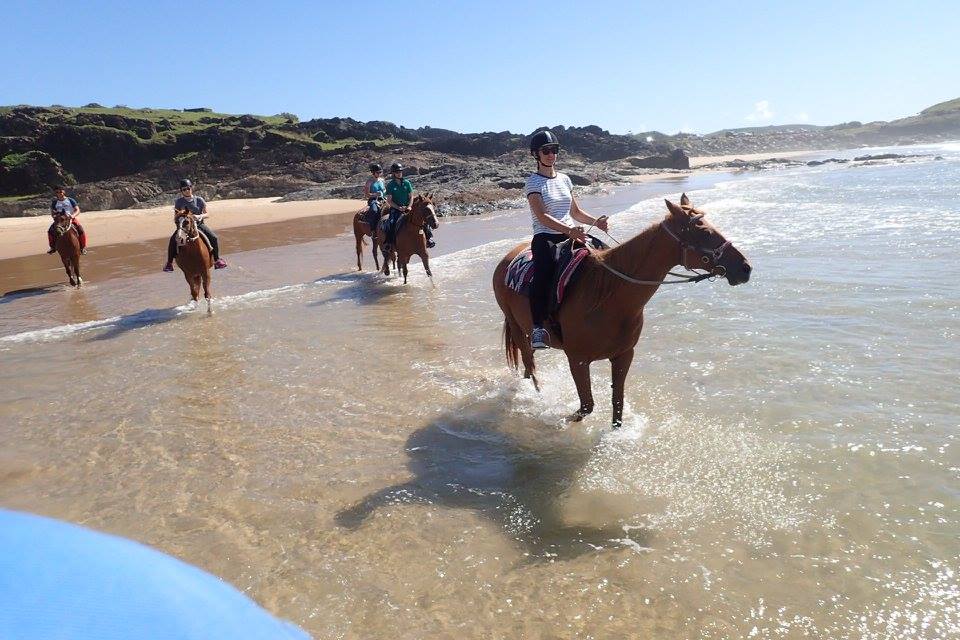 Coffs Harbour Camp / Cottage / 4wd