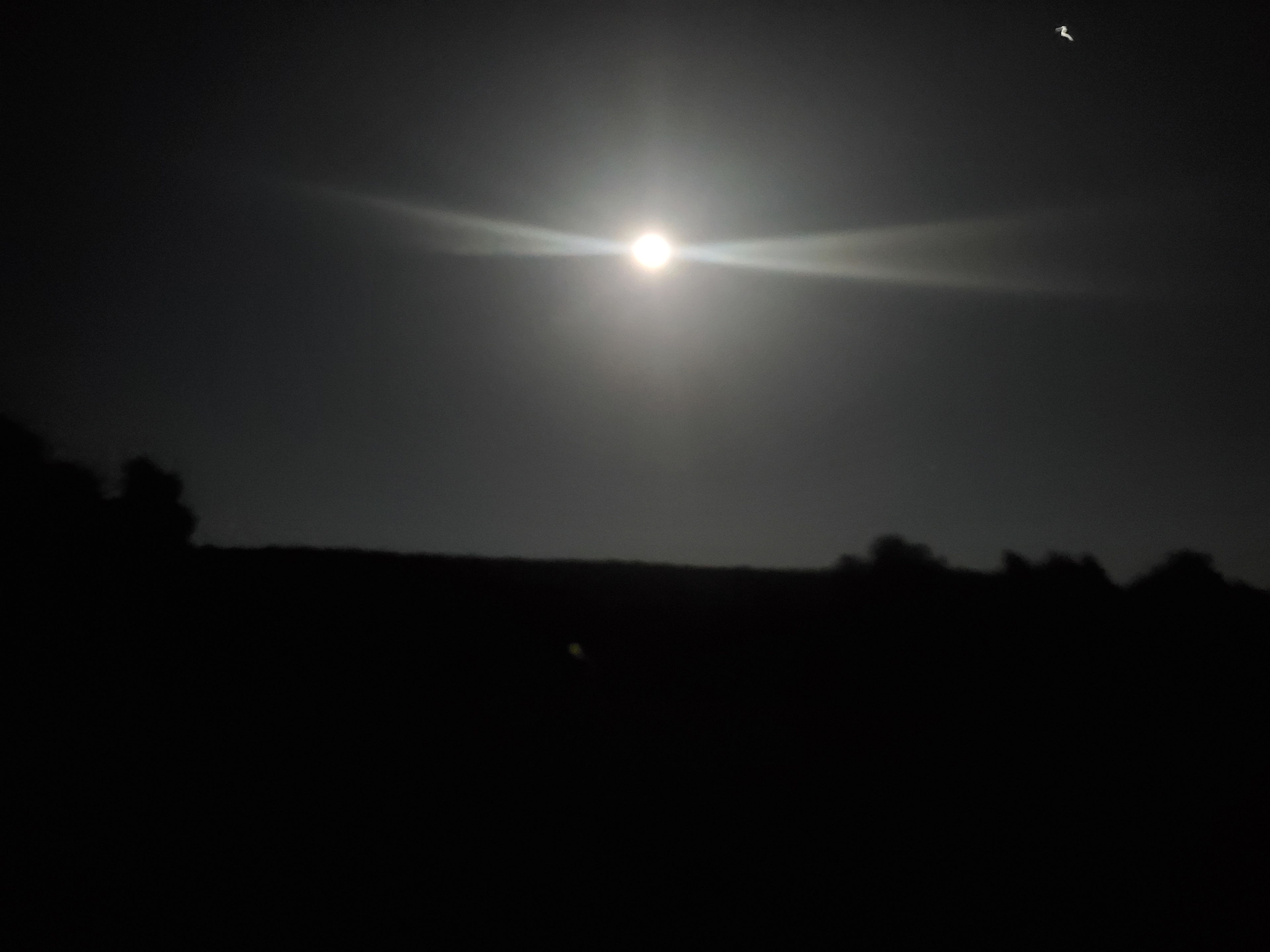 Full Harvest Moon