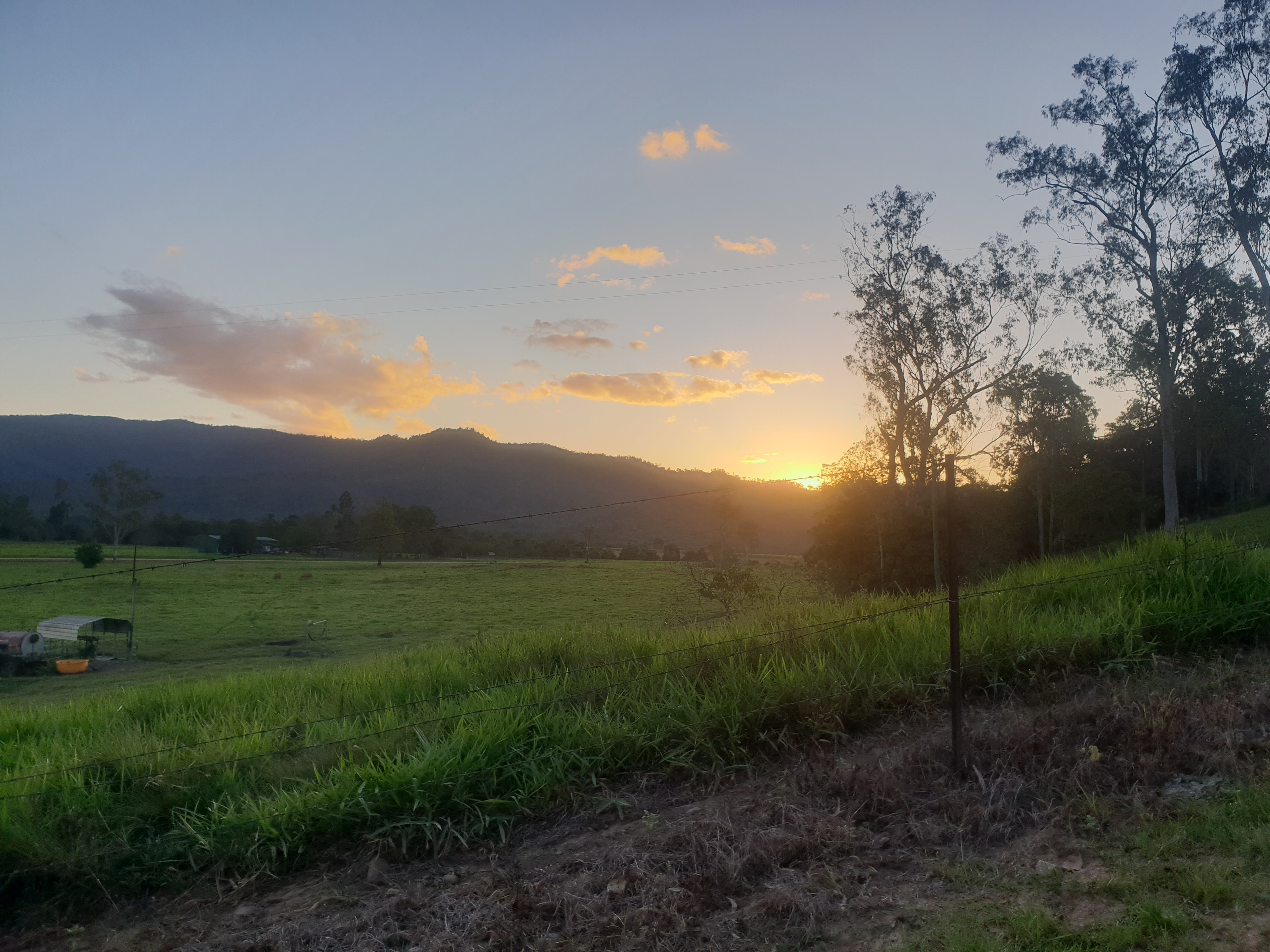 Herbert River Valley Pastures