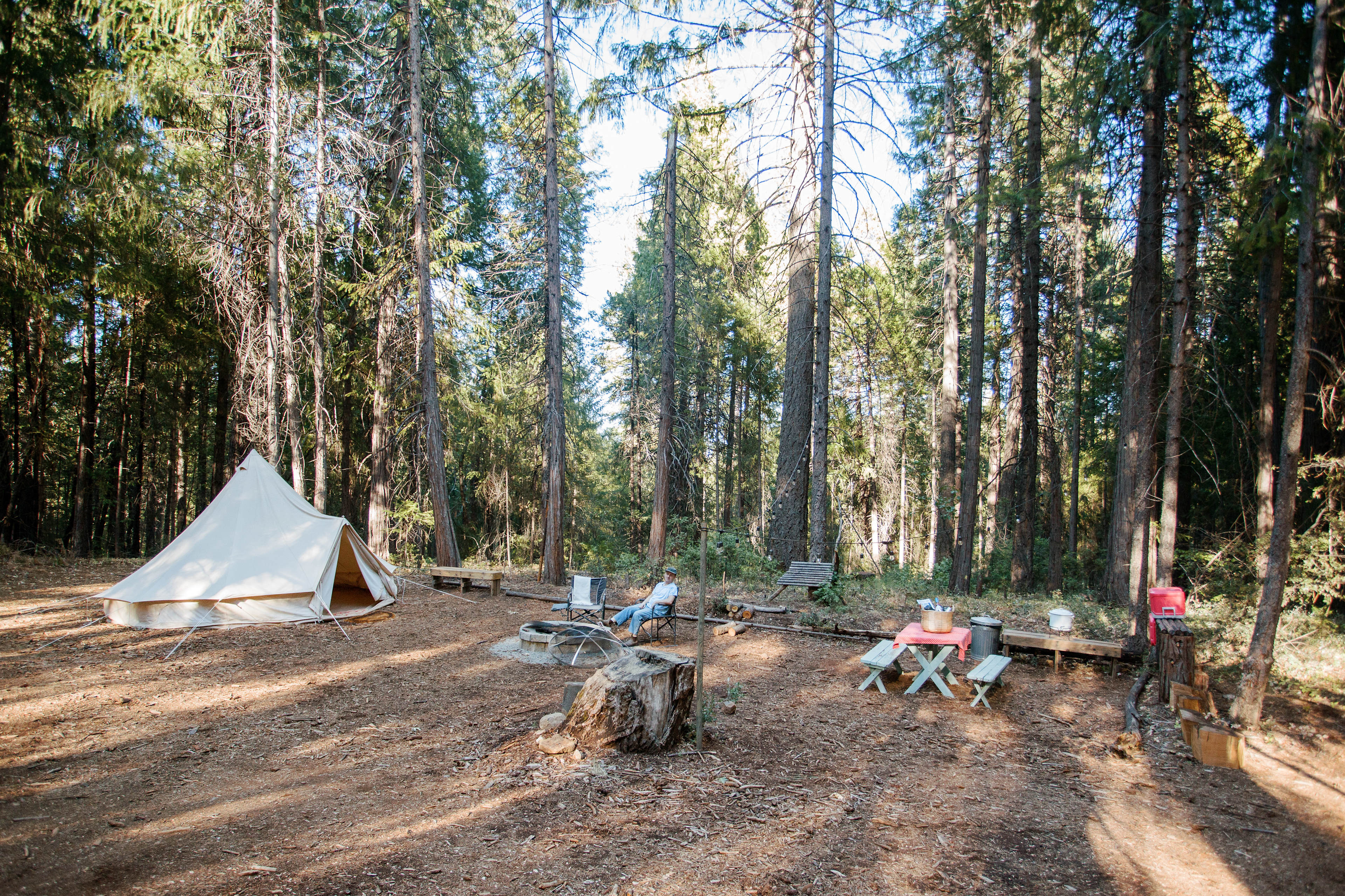 Blue Tent Grove