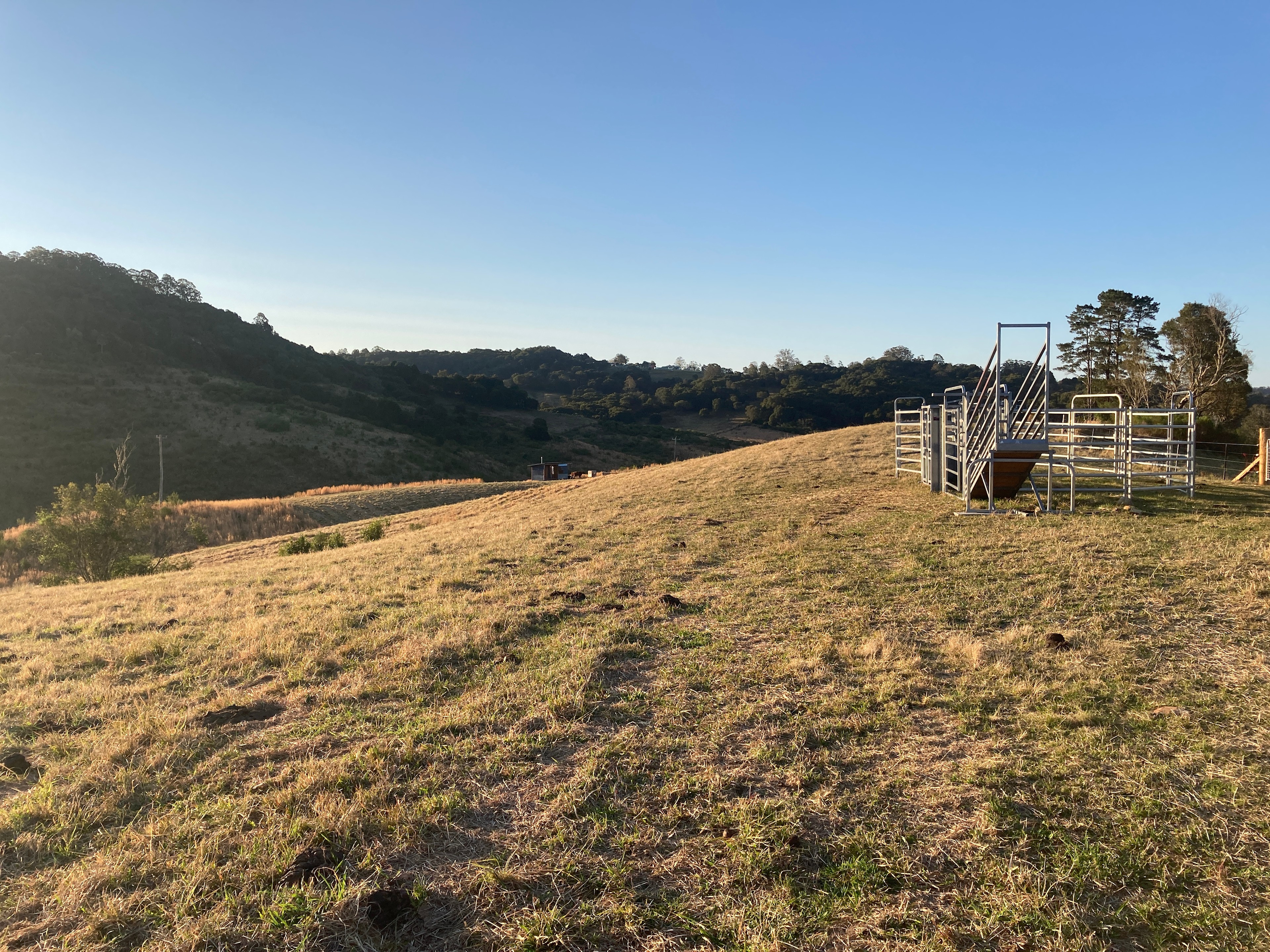 Stock yard to the right of the spot that over looks the dam