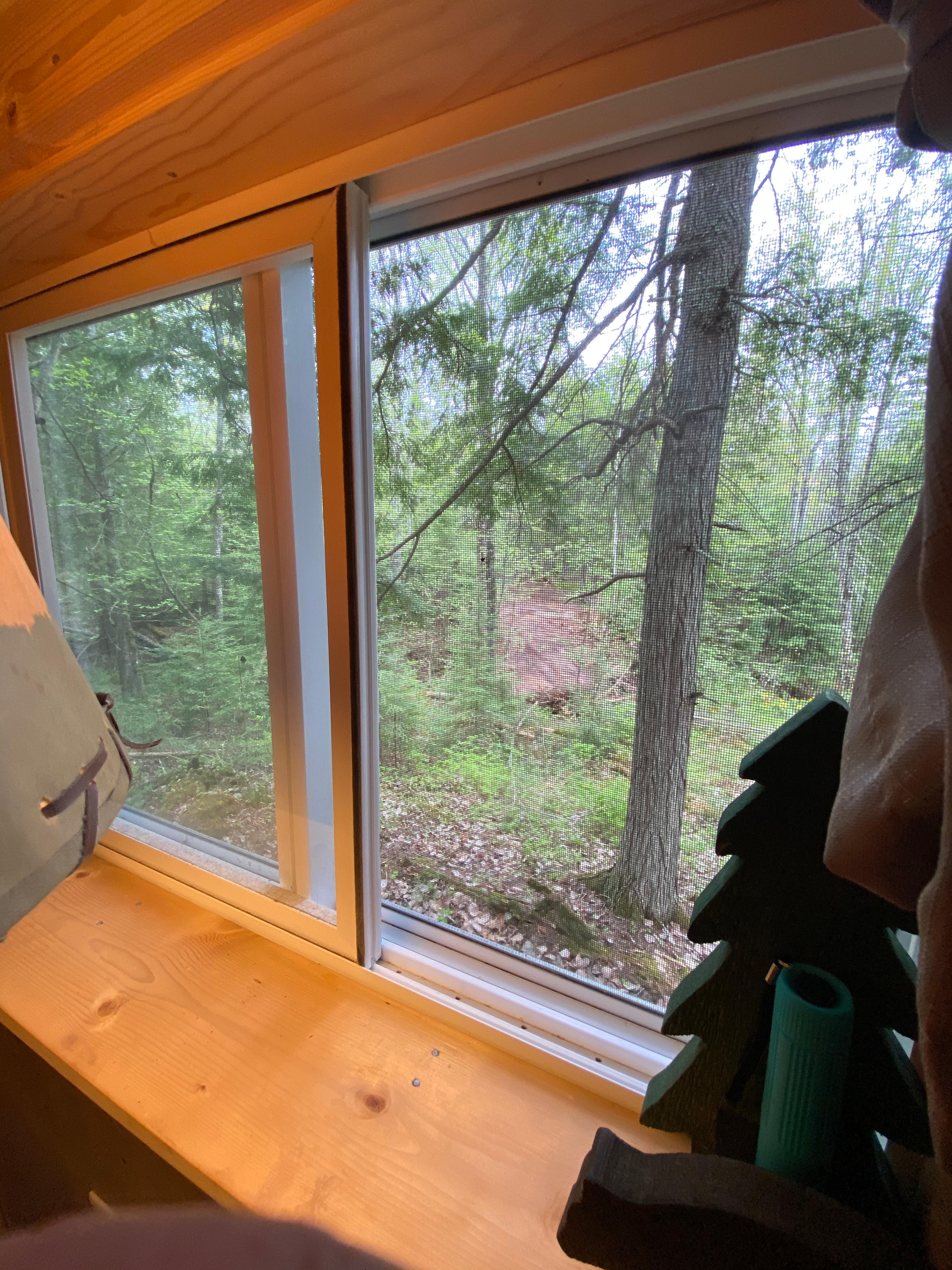 Rustic view! 
