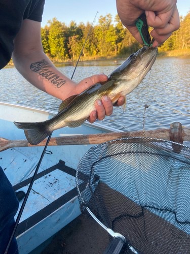 Fishing in the pond