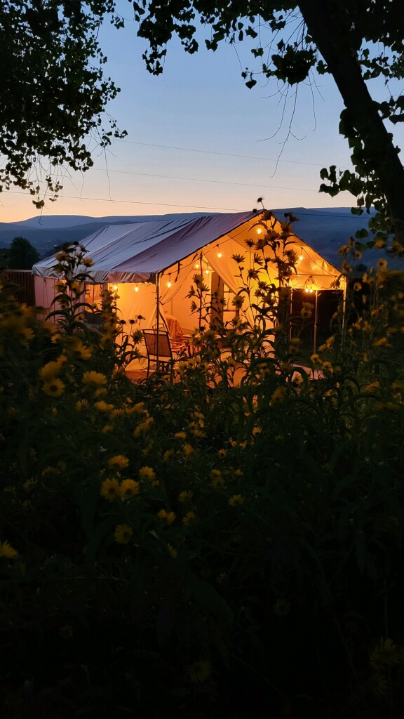 Cute fairy lights to make the evening more magical.