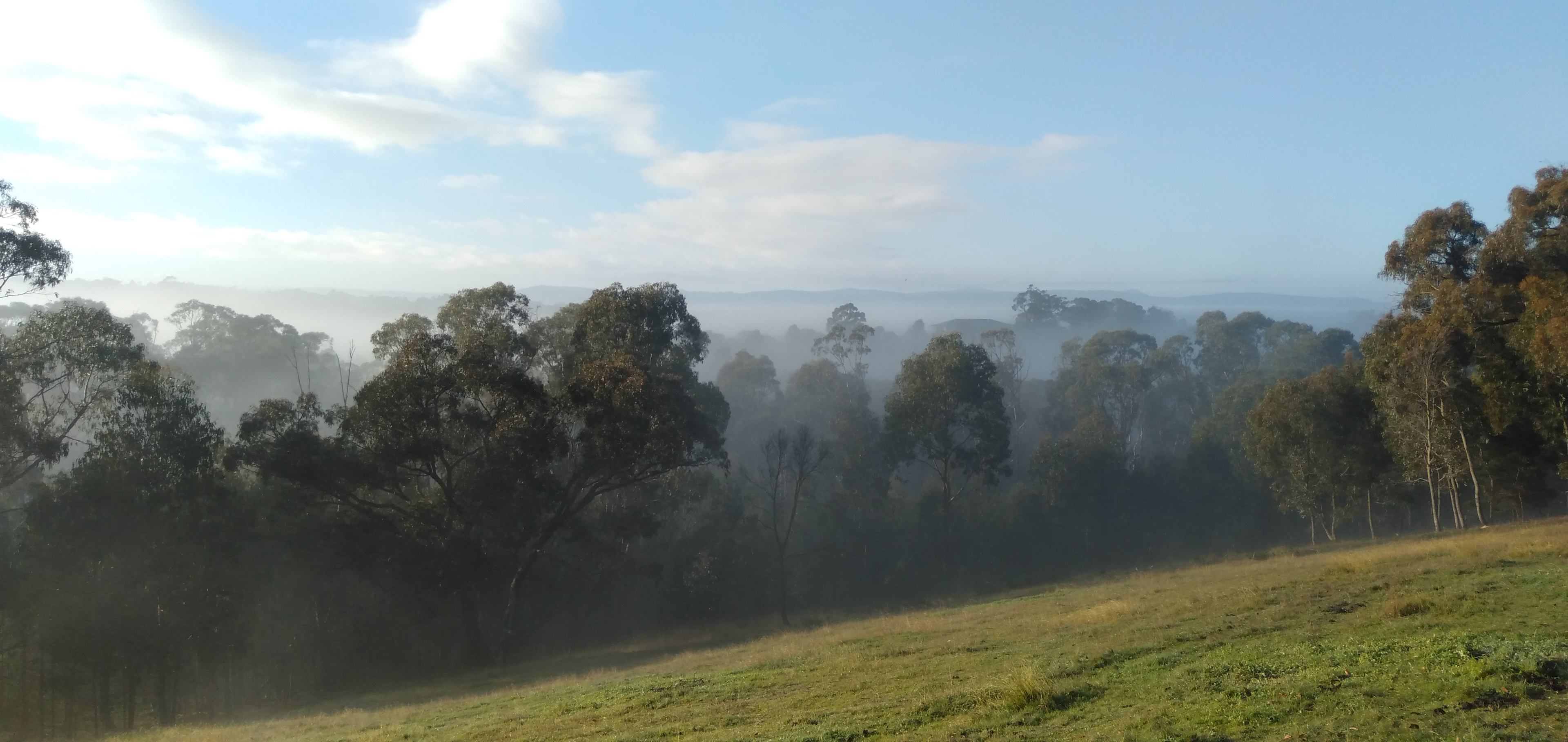 Bushy Ridge Hideaway