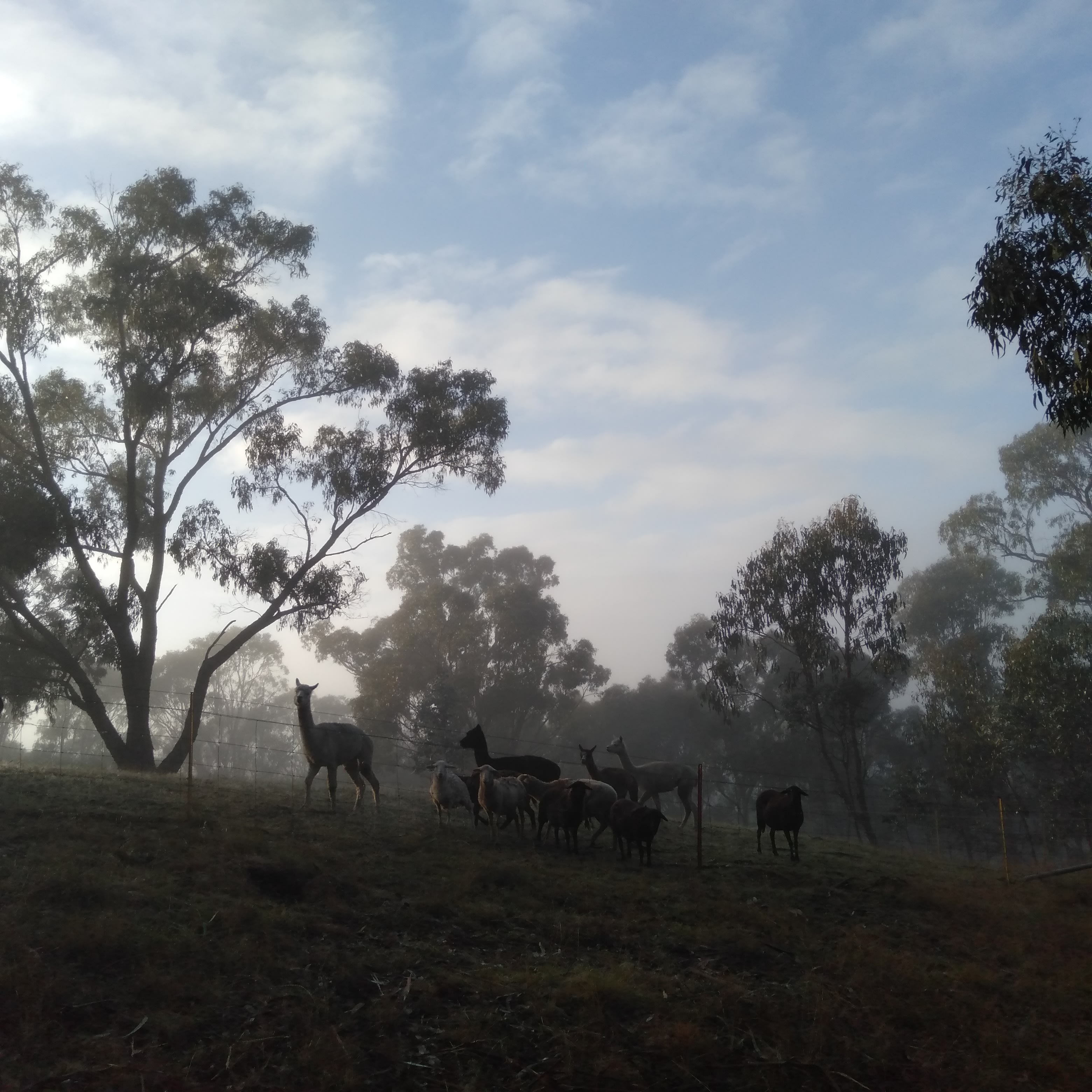 Bushy Ridge Hideaway