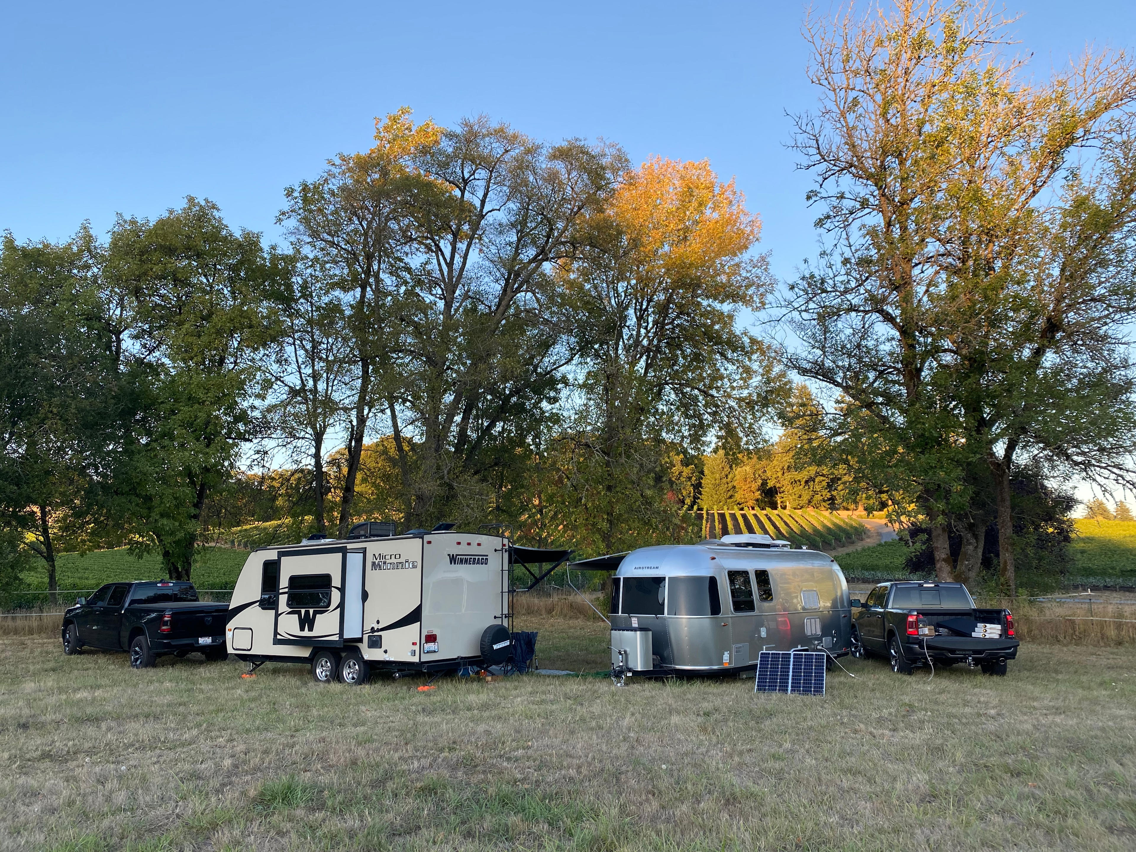 Zenith Vineyard Camping