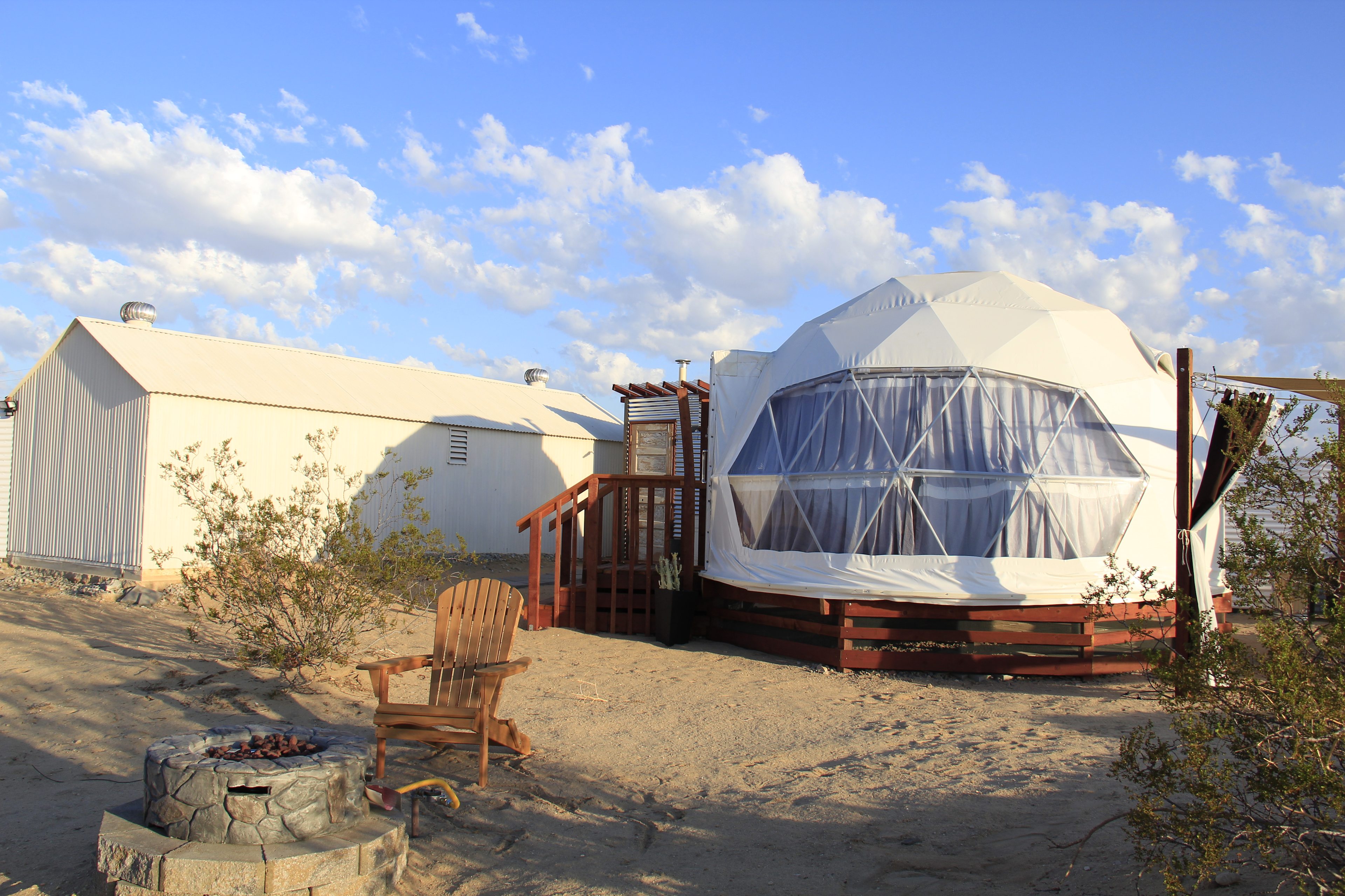 Our Desert Domestead
