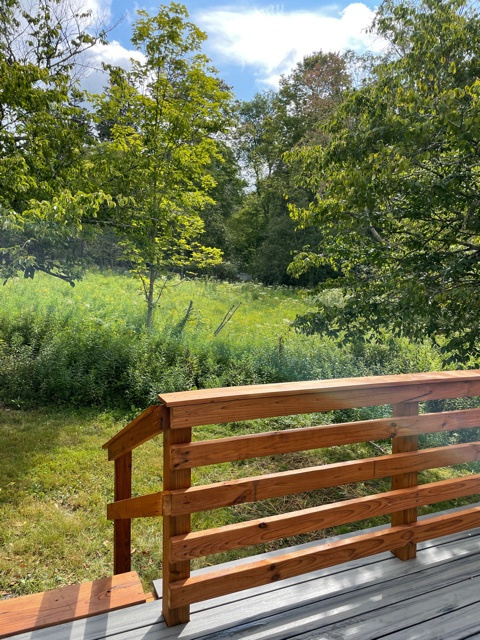 The Birdhouse near Farmer's Markets