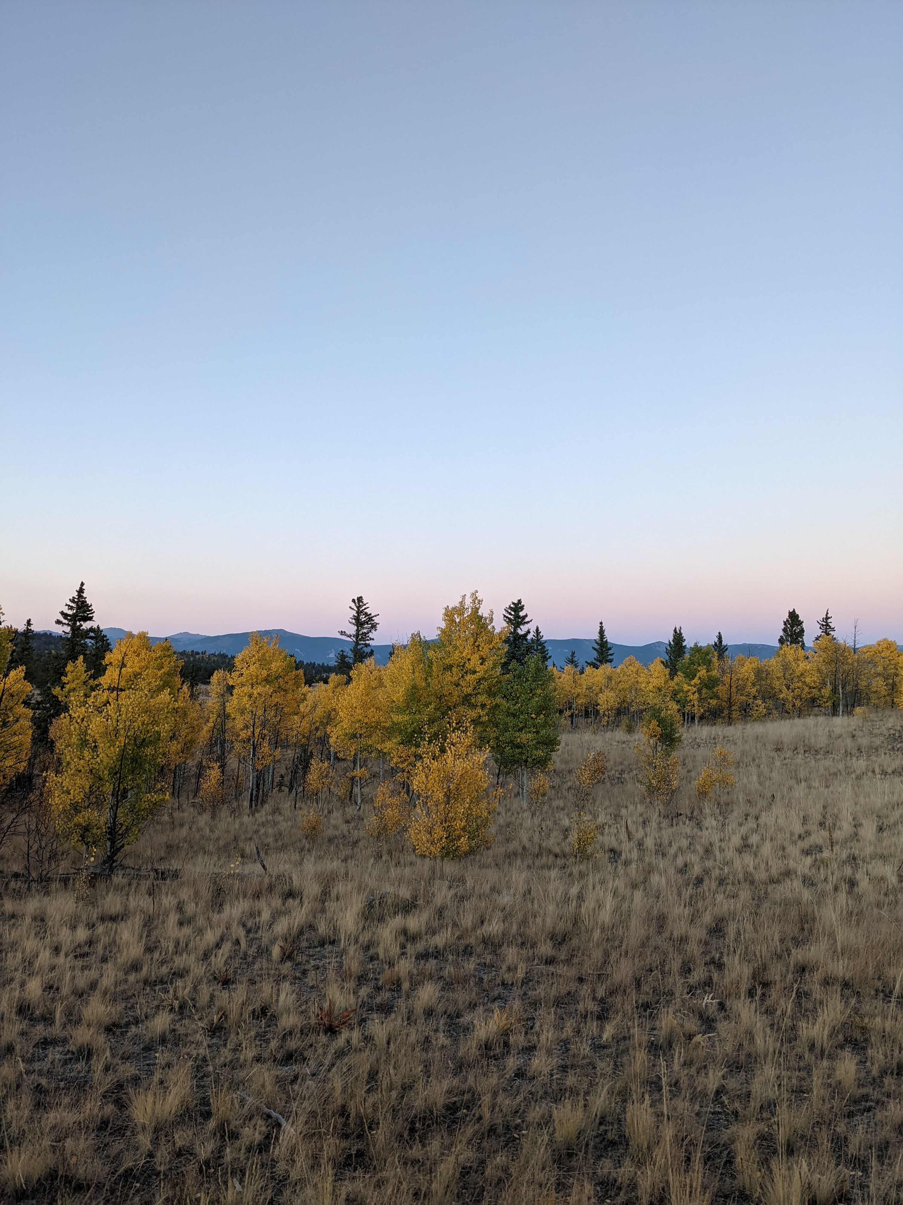 Camp with a view!