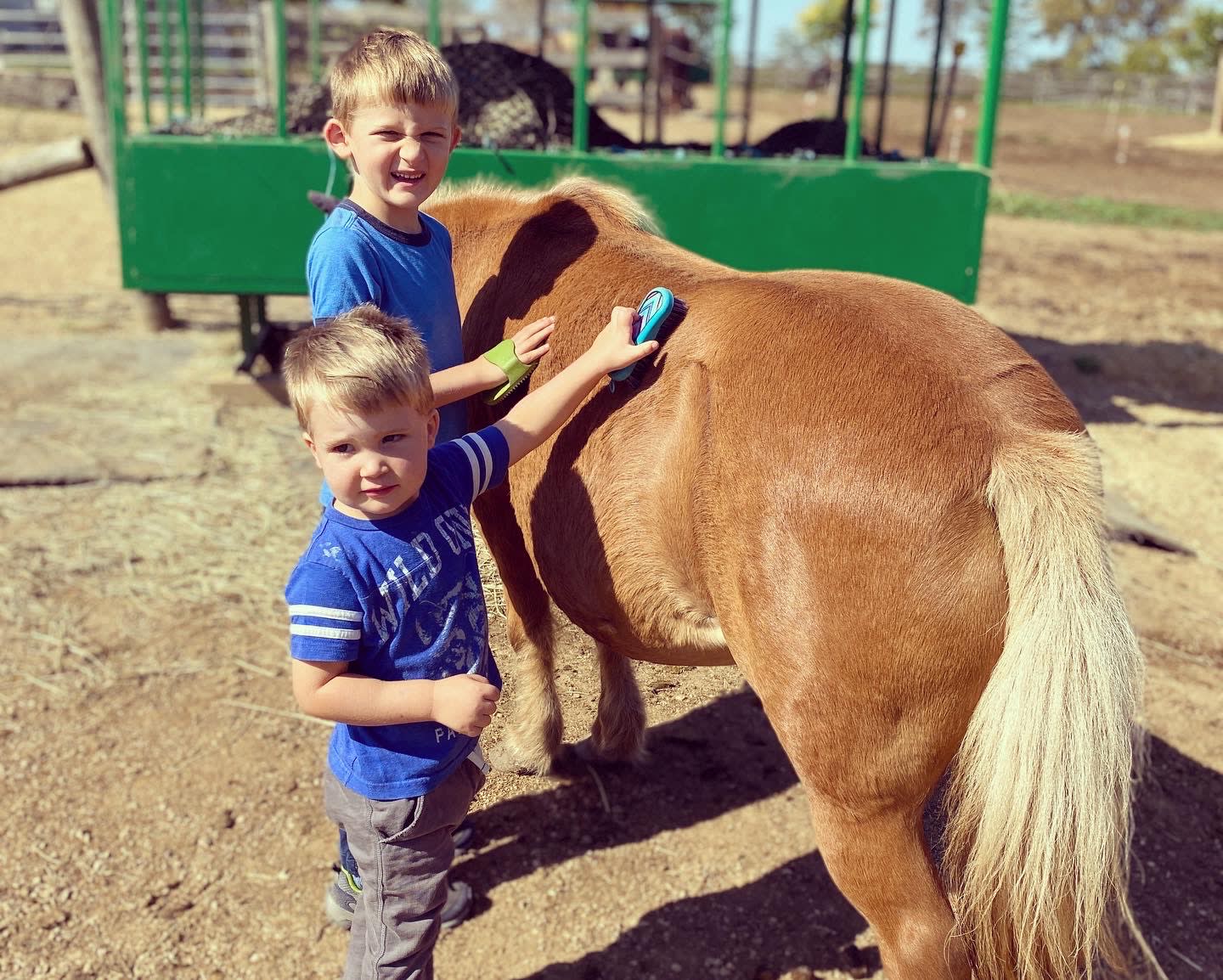 WILD3R Farm