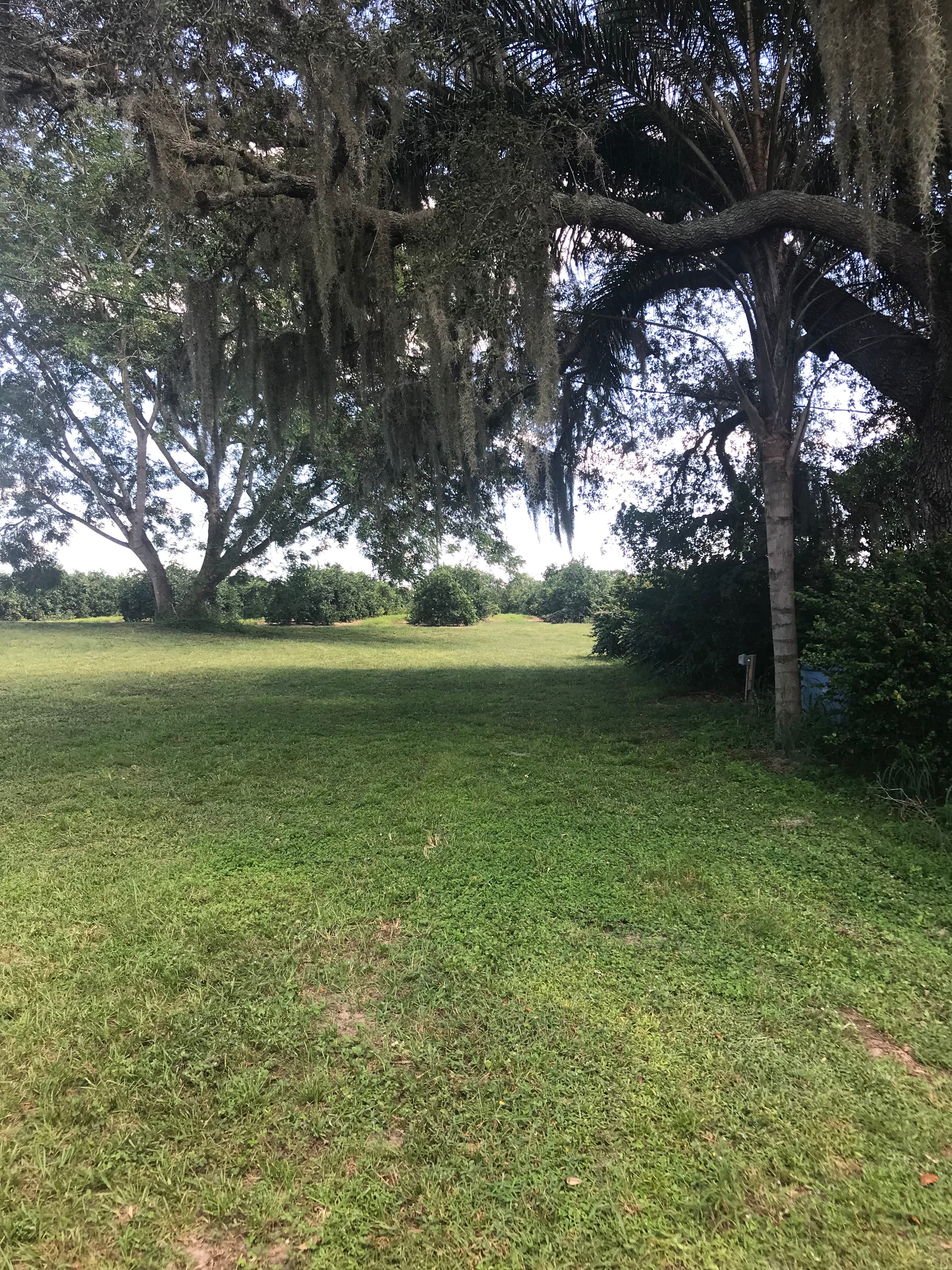 Level land beneath a large grandfather oak and acres of orange groves and private fishing lake 