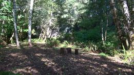 The Falls at Elk Prairie