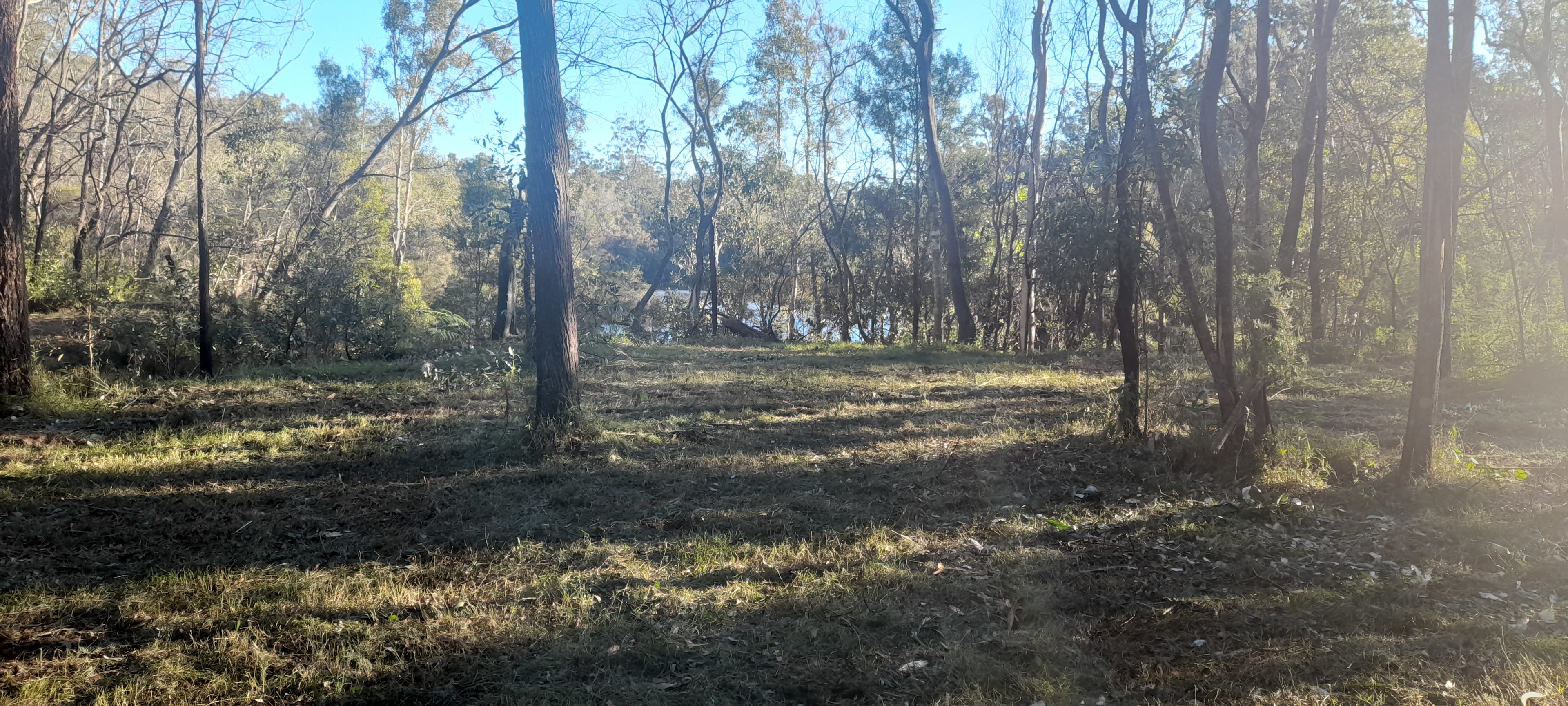 BUNGAWALBIN WILDLIFE RETREAT