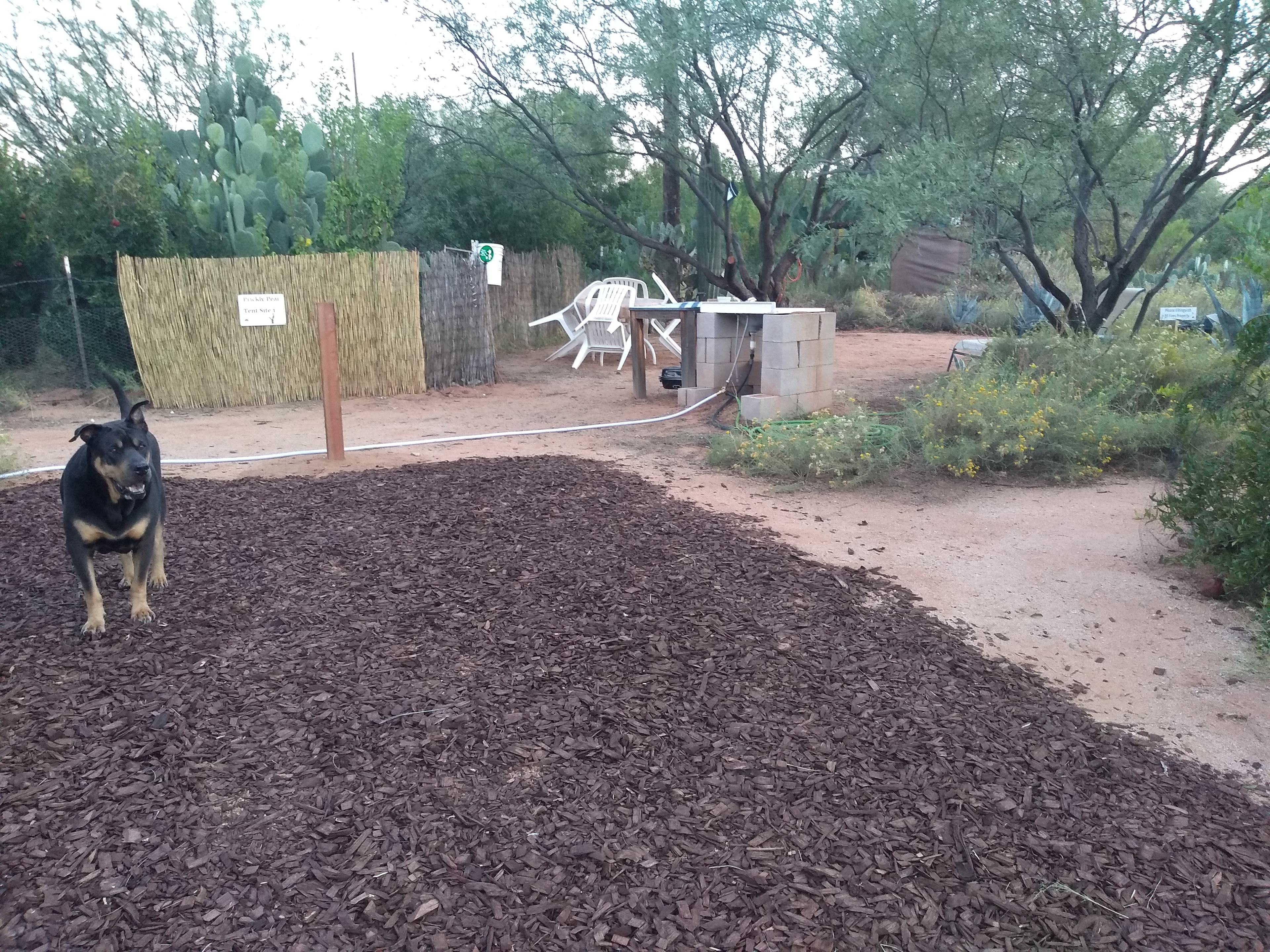 Parking area adjacent to Prickly Pear campsite
