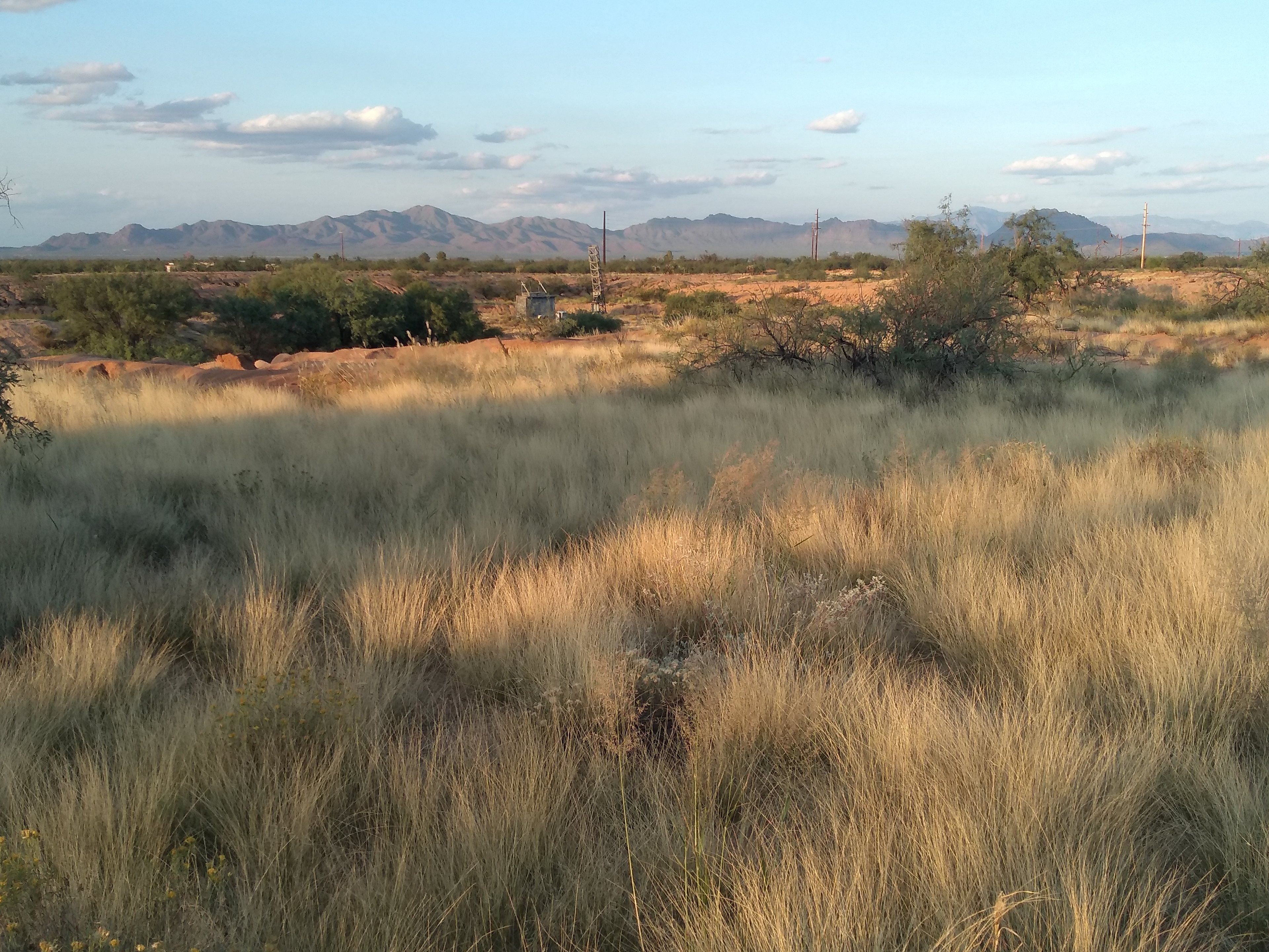 Tucson Mountains - view from RV site