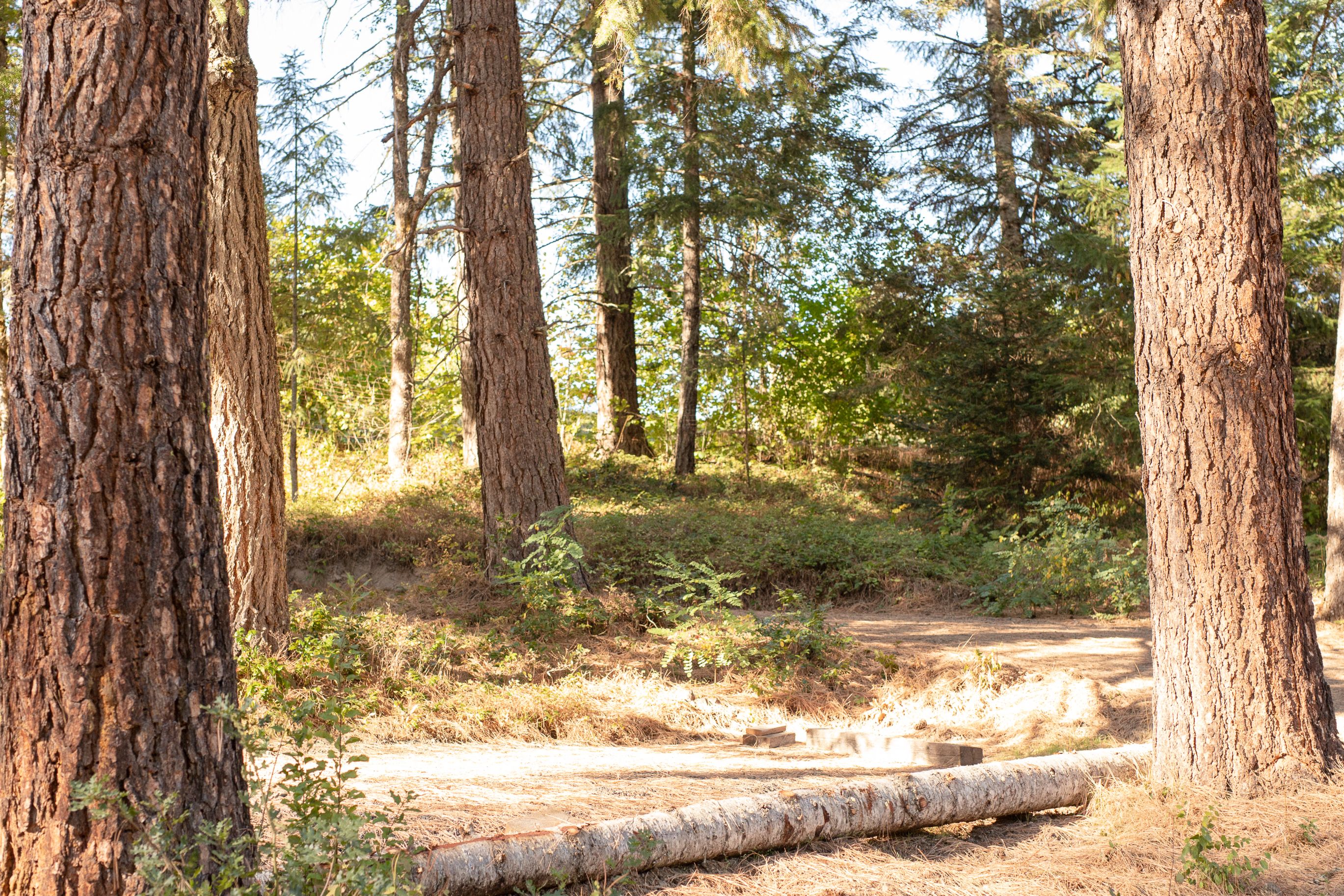 White Salmon River RV Campsite