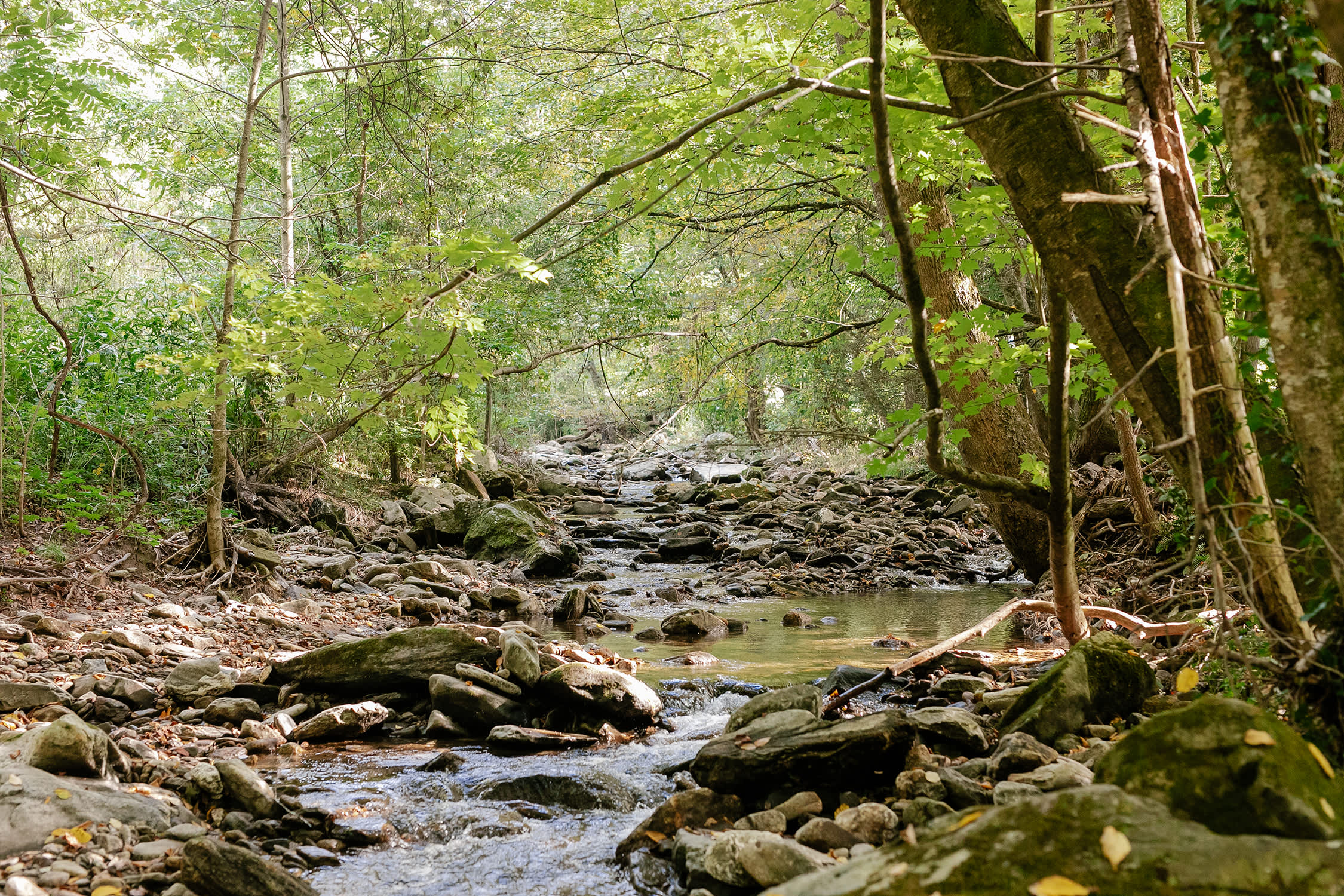Listening to the stream is so peaceful. 
