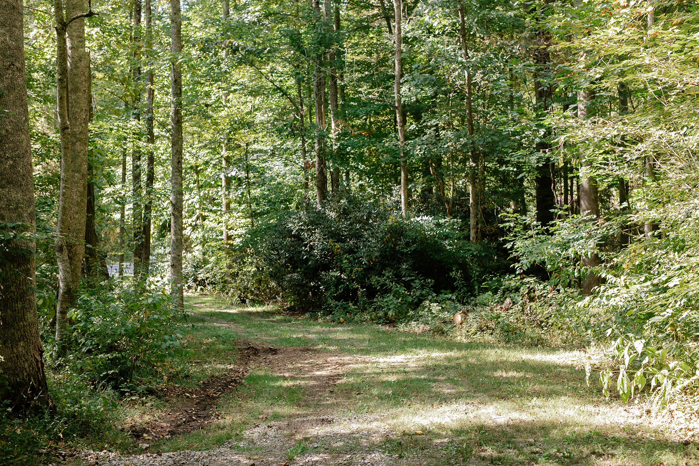 It's easy to find right off the road! You can't miss it. There's a "HIPCAMP" sign for you to pull right into your spot. 