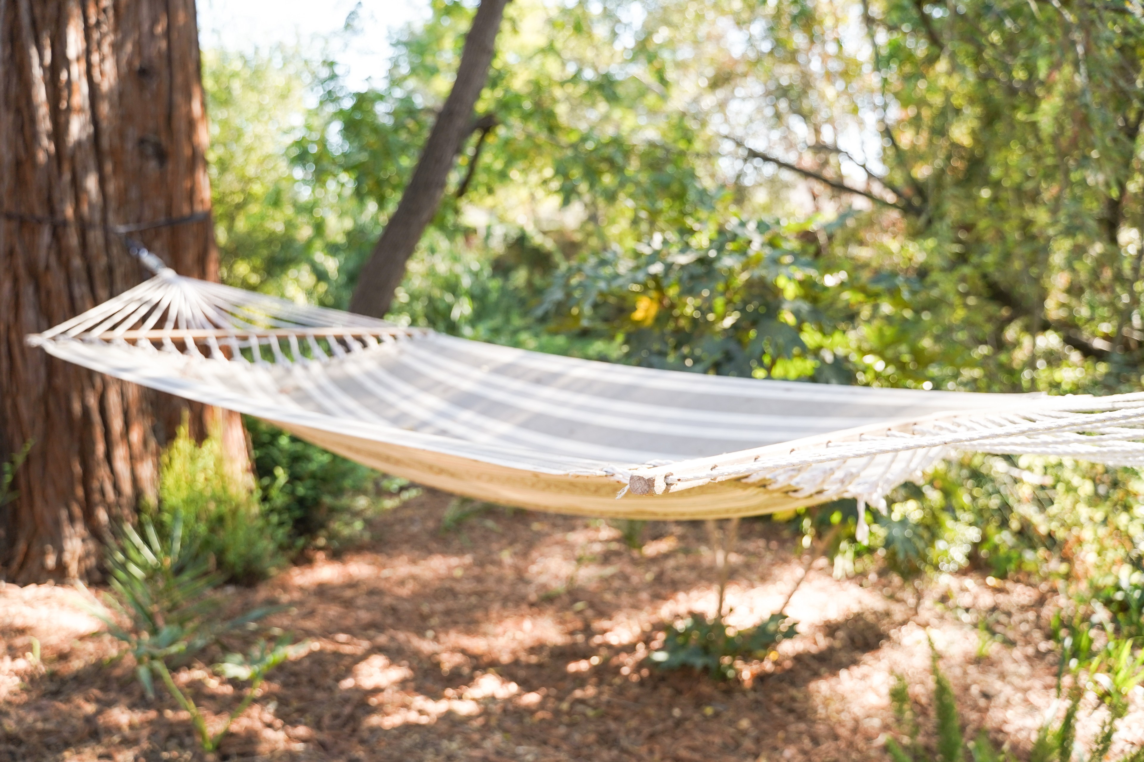A large hammock hung secured between two trees.