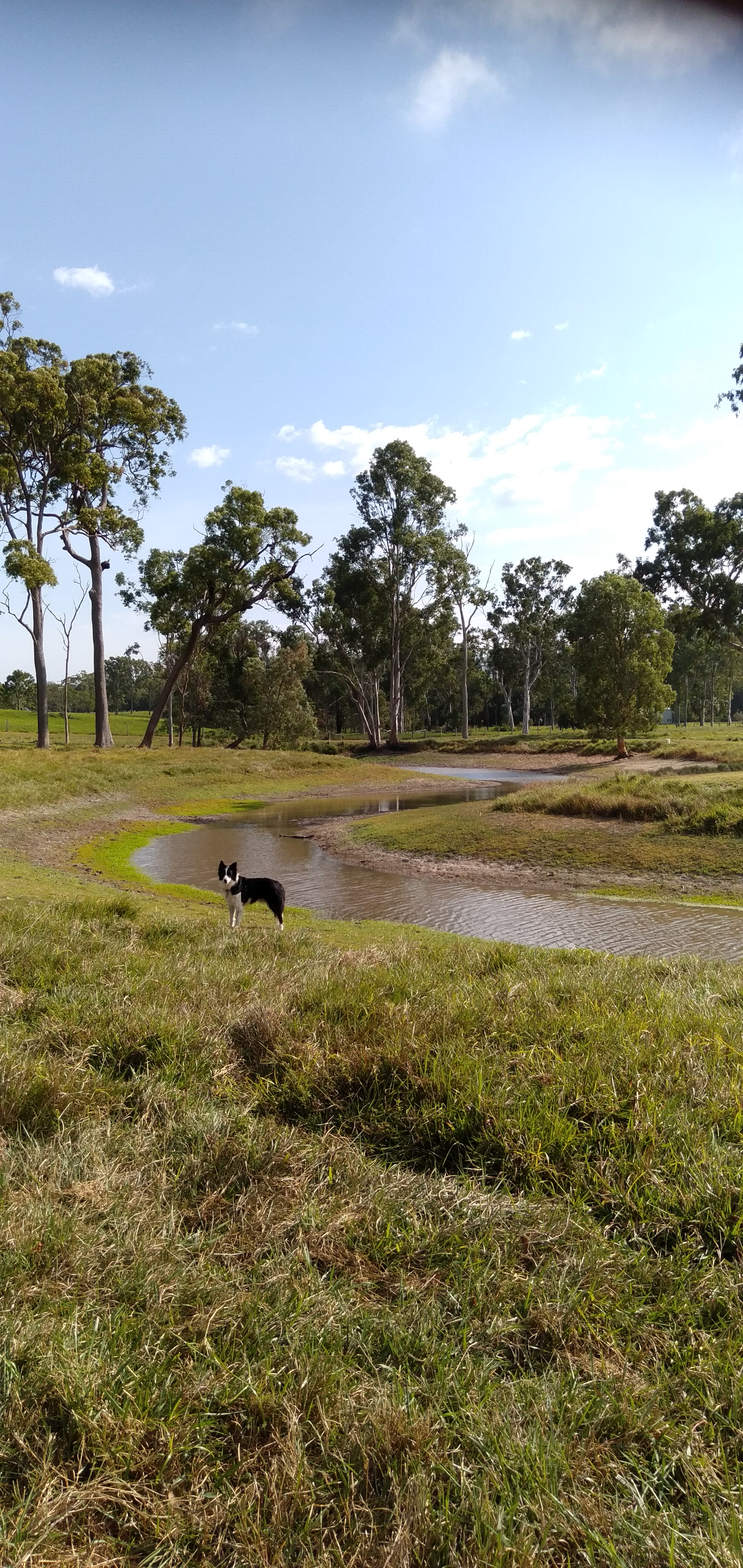 Alphie wanted to mention that the water is getting low in the bottom dam. Photo taken 3/10/2021