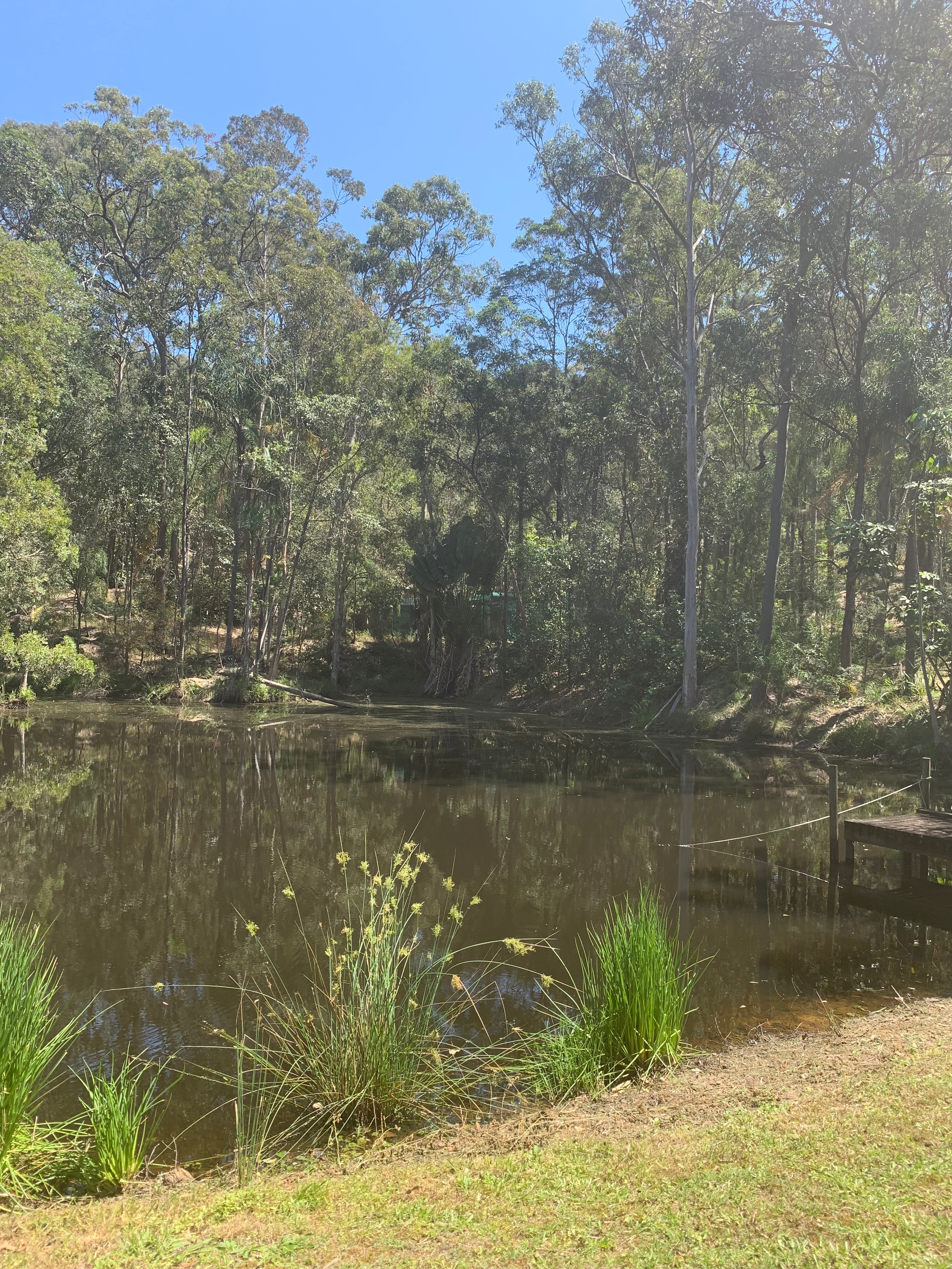 Tranquil Bush Retreat -  Sheldon