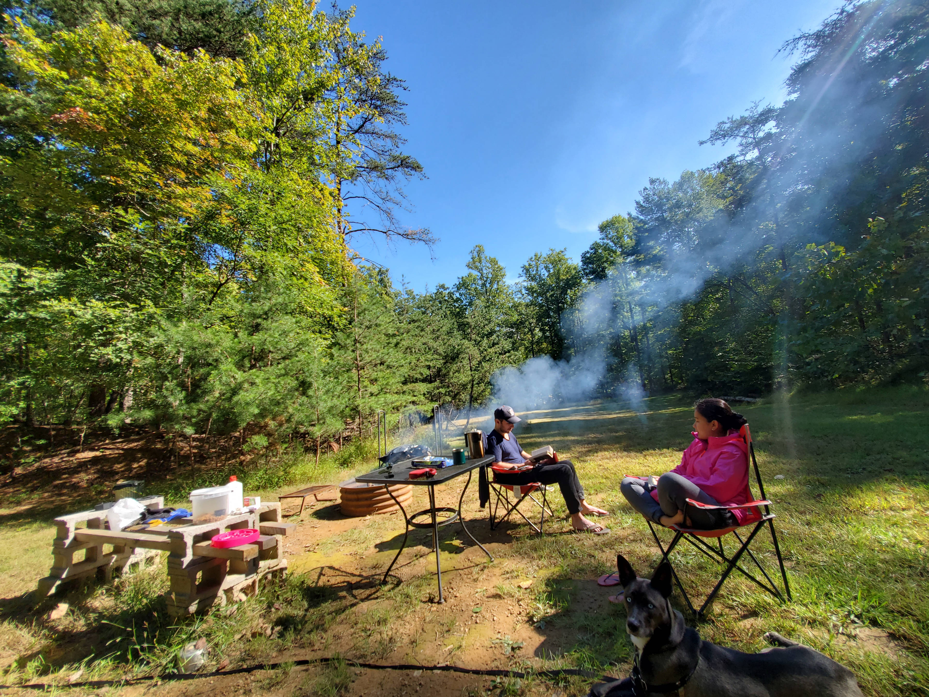 Peaceful Hollow Pines