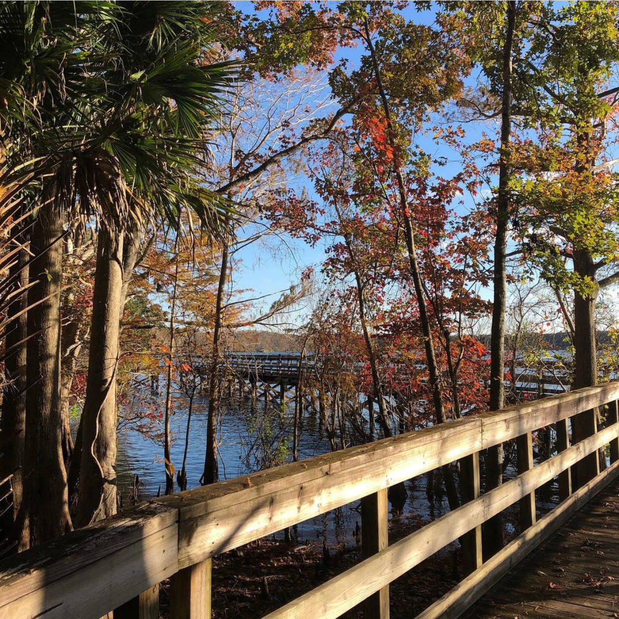 Awesome county park with trails and fishing pier.
