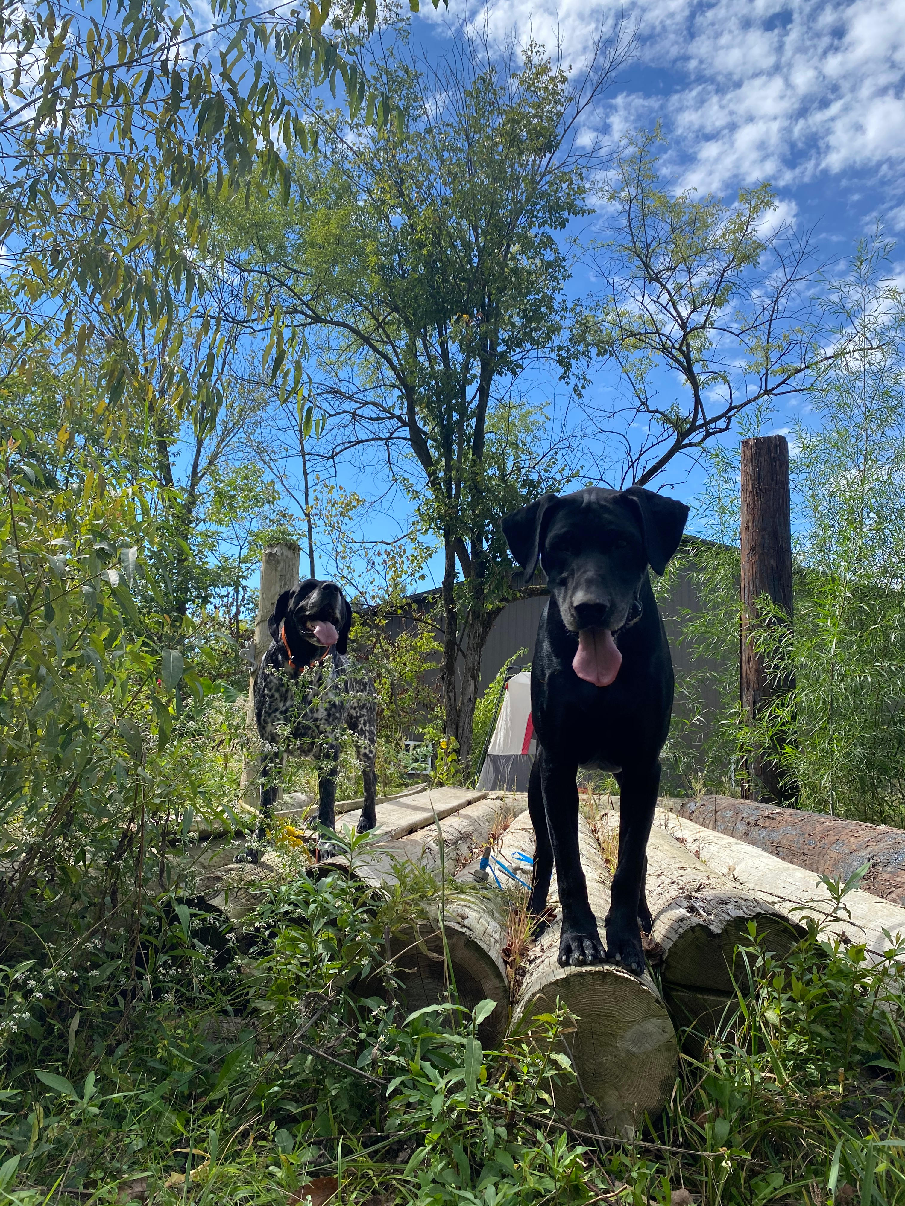 Camp Whispering Pines